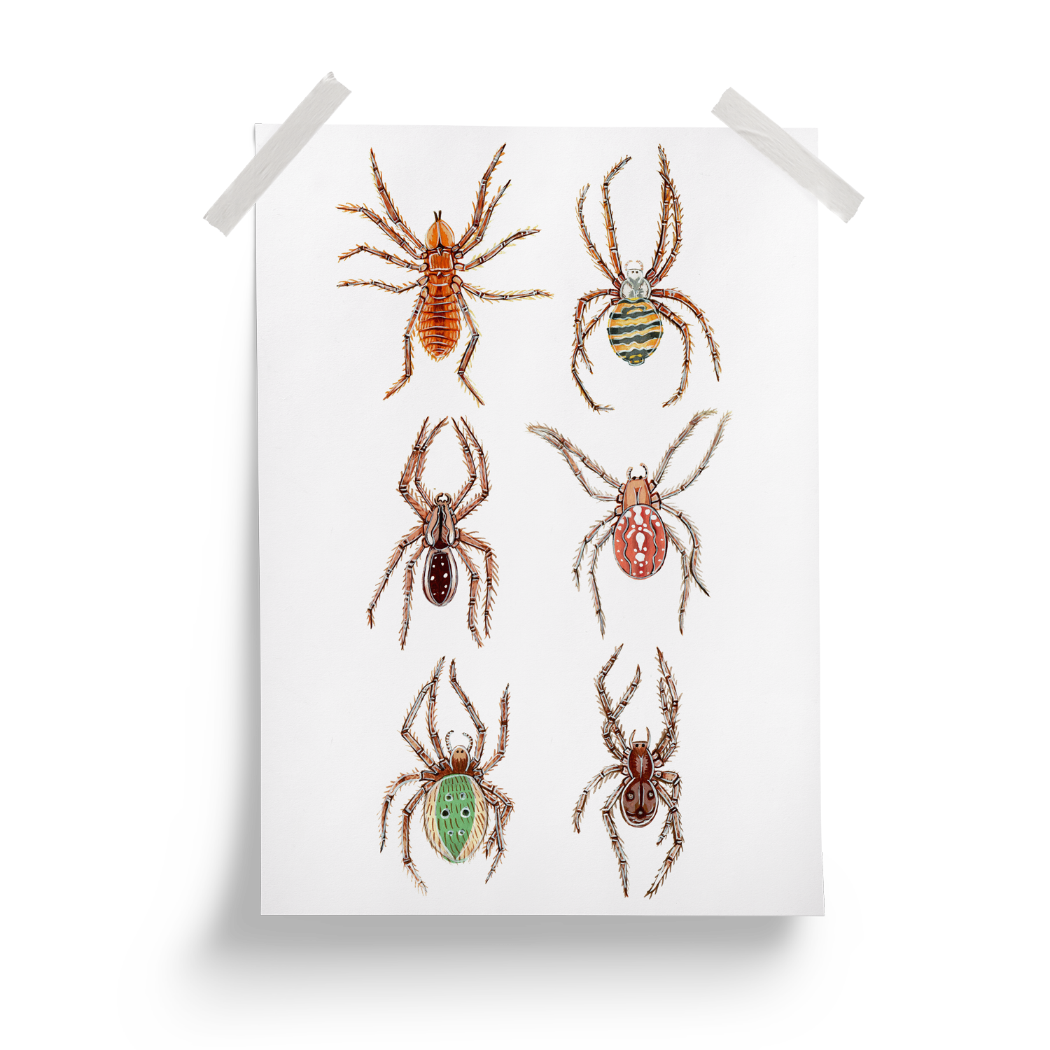 Arachnids_Poster_MockUp.png