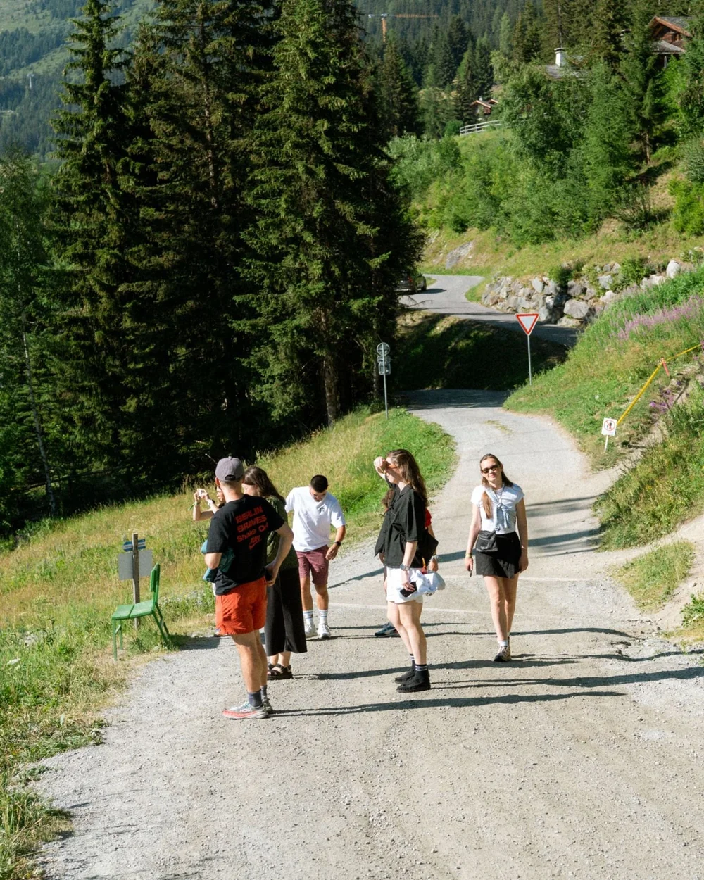 A group walking up a gravel track between pines, one of them glancing back