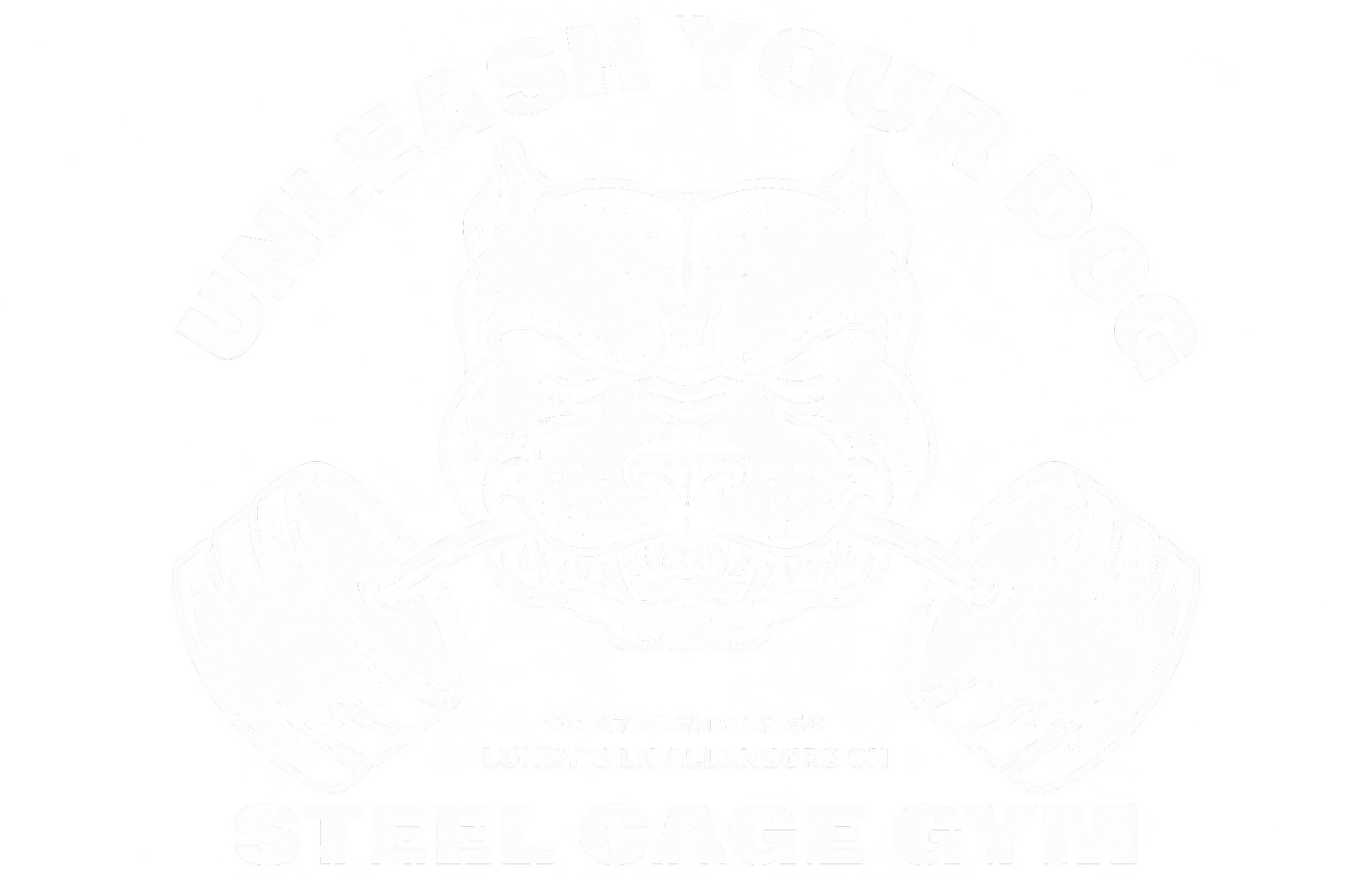 STEEL CAGE GYM: BOXING &amp; BJJ IN NIAGARA
