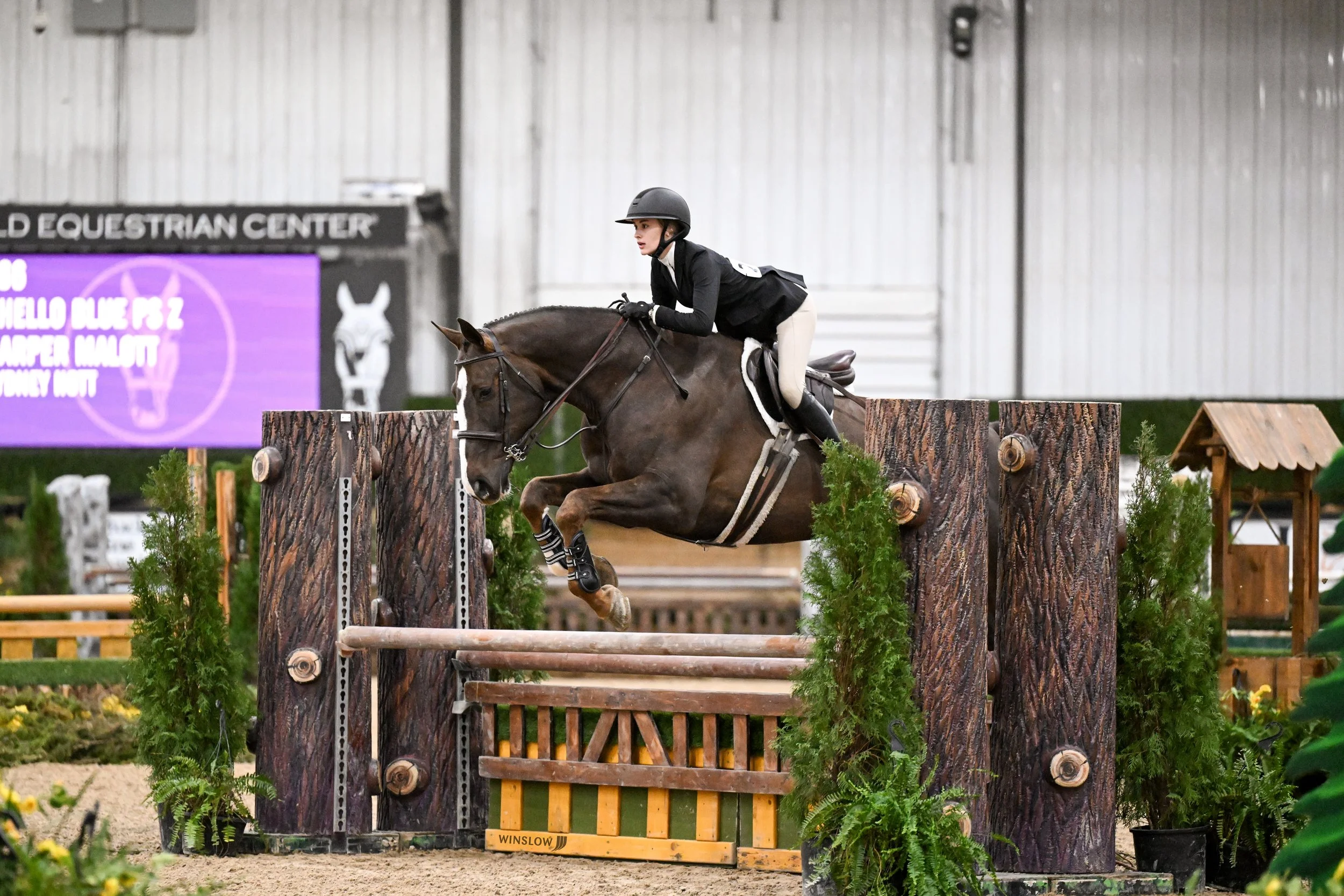 A female equestrian rider in formal riding attire and helmet jumping with her horse over an obstacle made to look like tree logs at an indoor equestrian event.