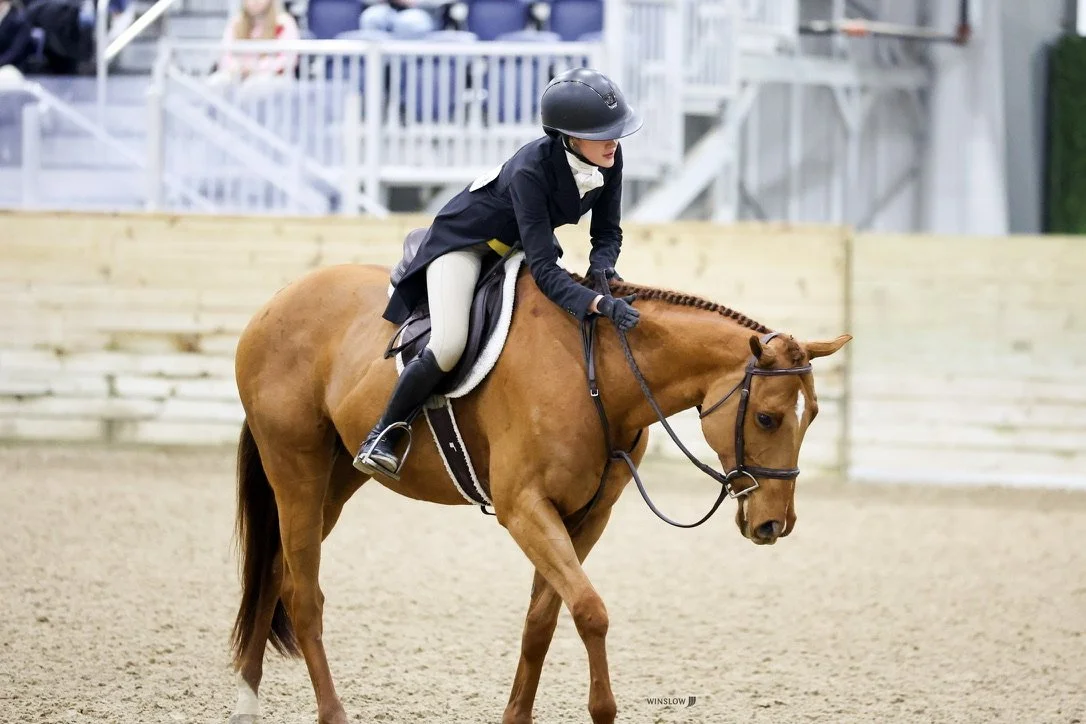 A young girl in riding gear riding a brown horse inside an indoor riding arena.
