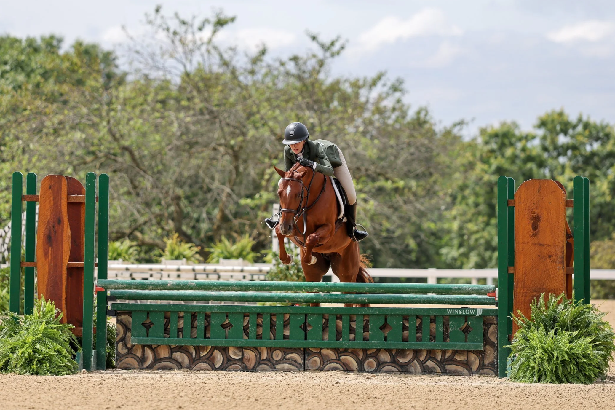 A rider and horse jumping over an obstacle during show jumping competition outdoors with greenery and trees in the background.