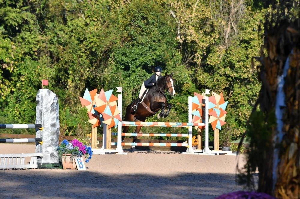 A rider on horseback jumping over a colorful obstacle during an equestrian event, with lush green trees in the background.