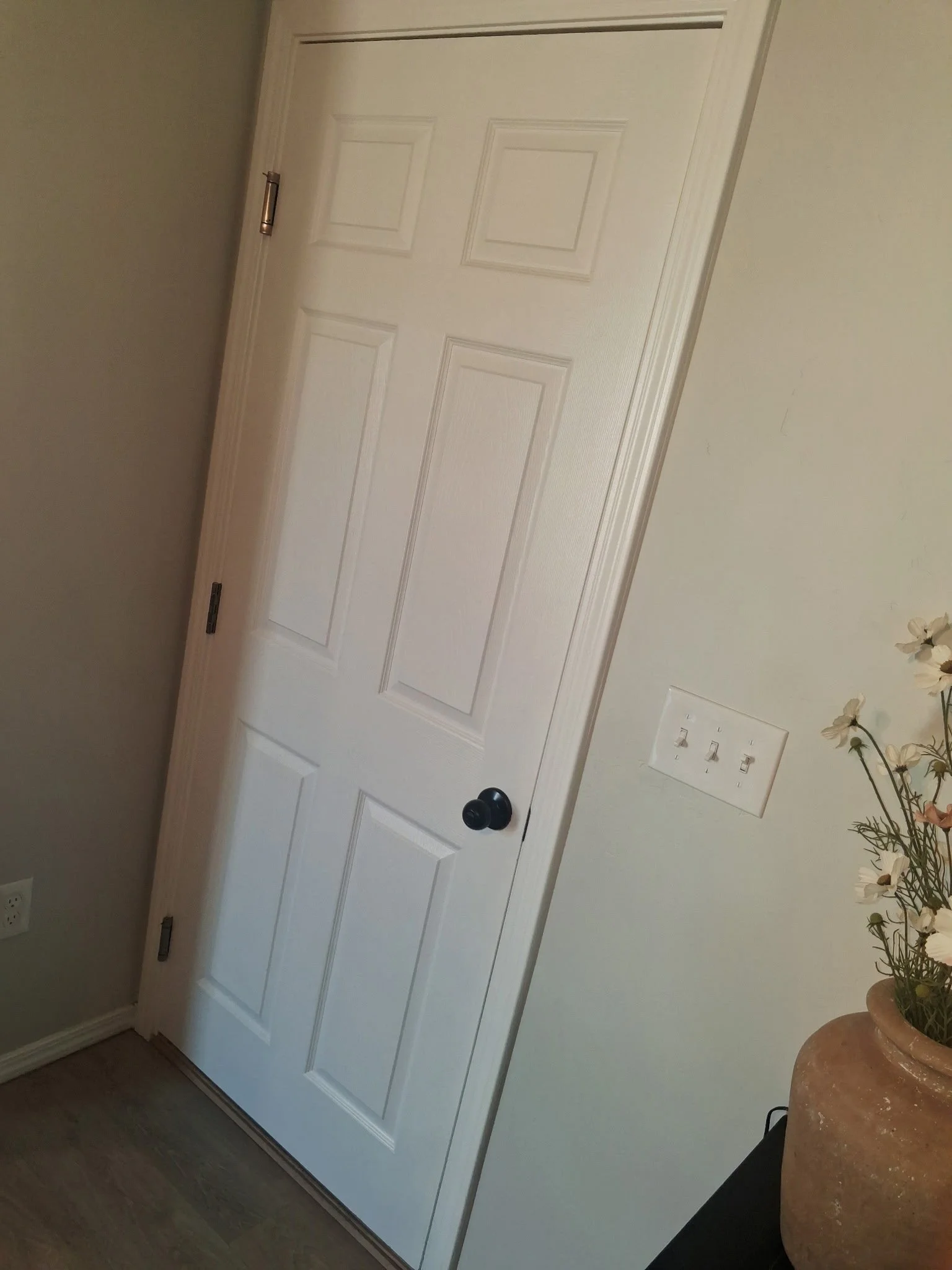 A white interior door with a black doorknob, set in a beige wall near a light switch and a potted plant with white flowers.