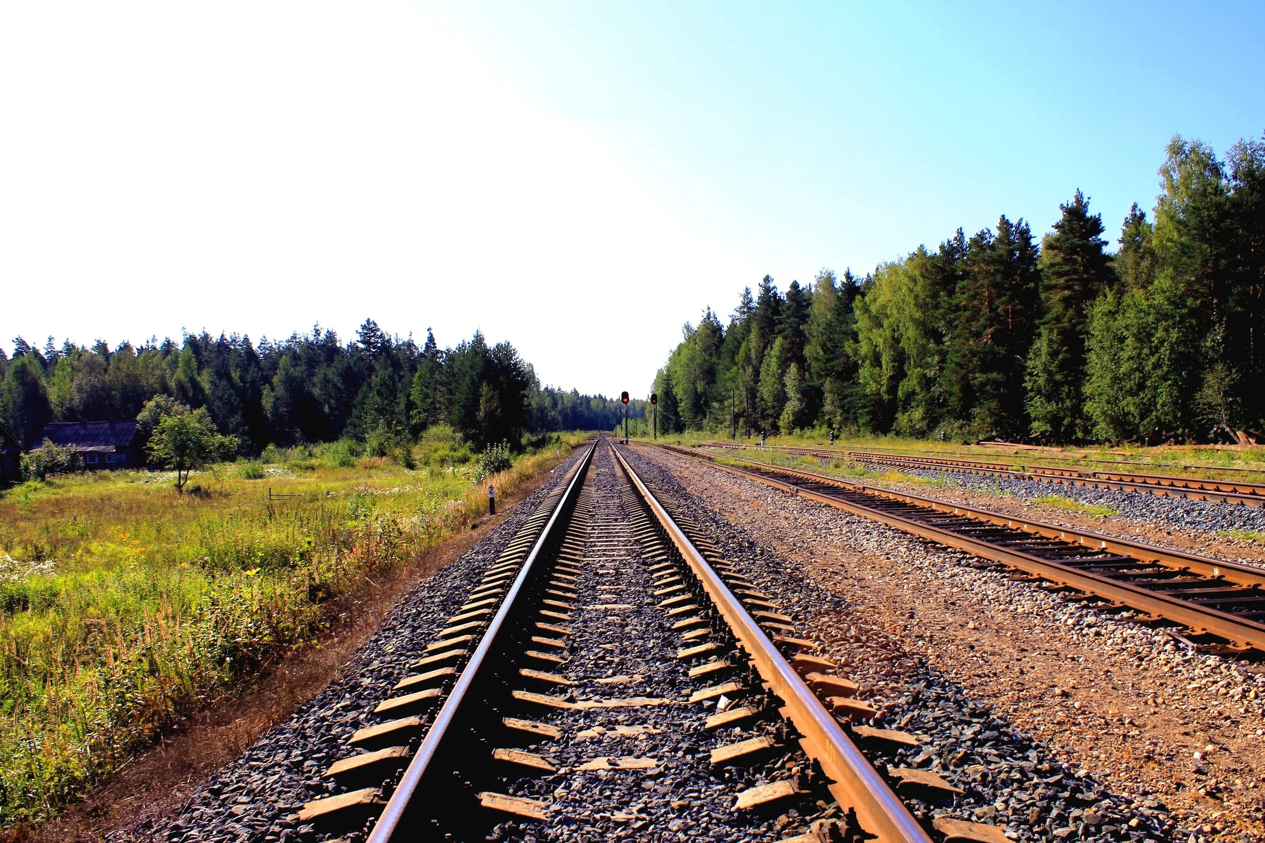 Distance-Healing-Photo.jpg