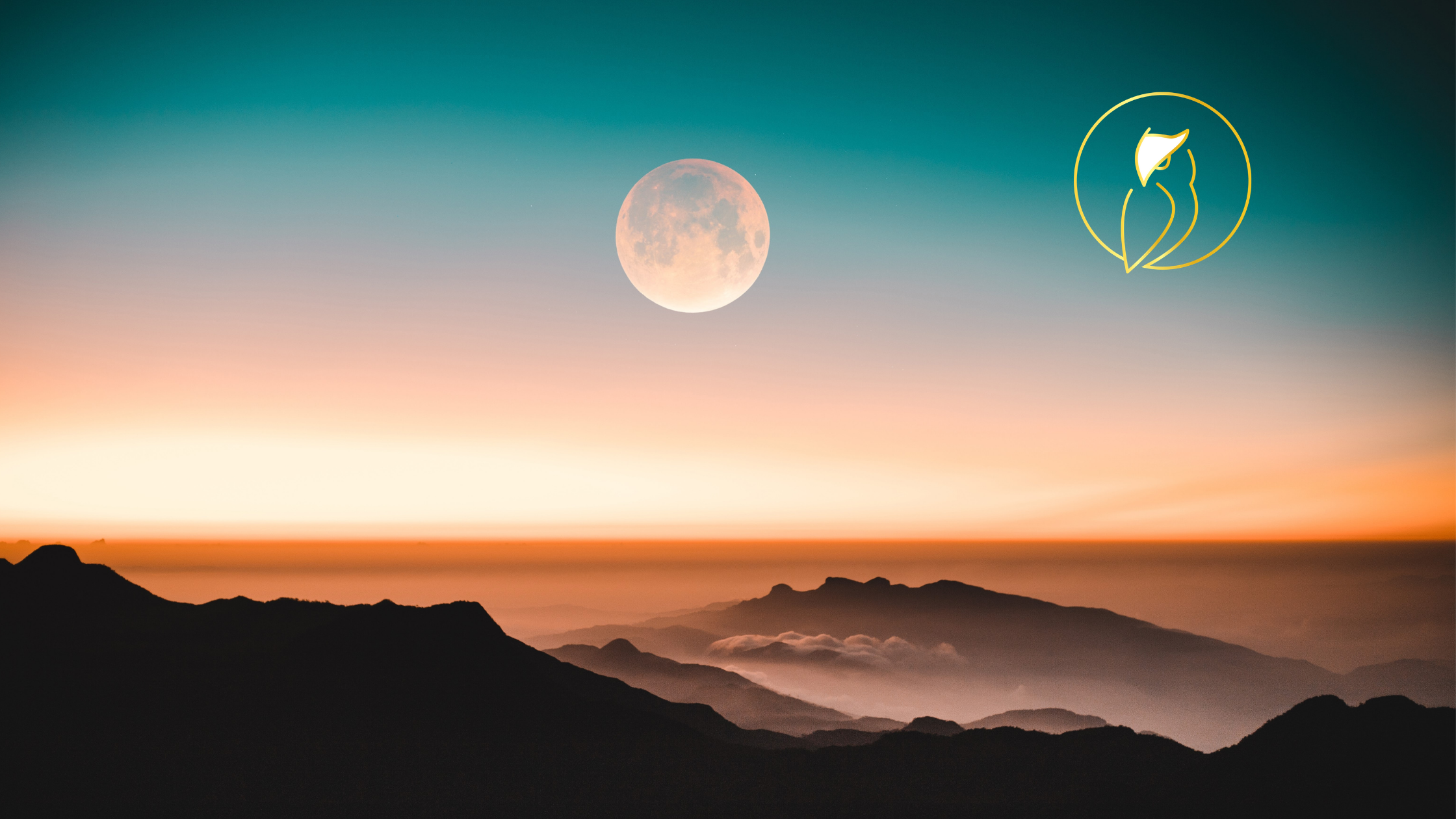 owl-moon.png