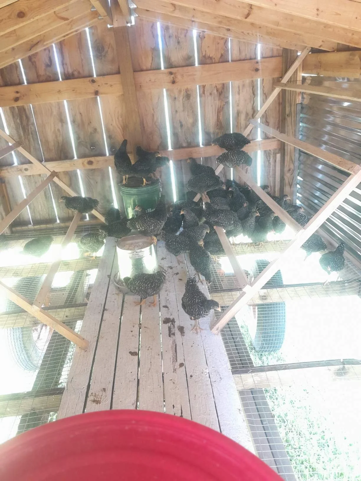 Resized_20230605_150209.jpeg