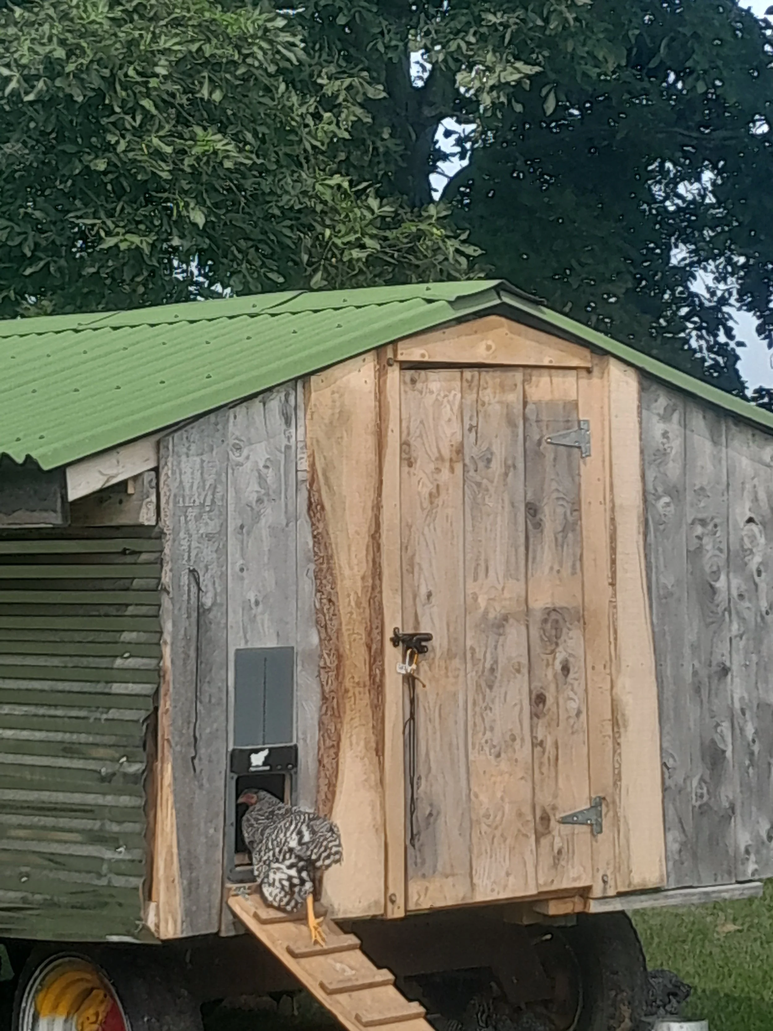 20230725_112339.jpg