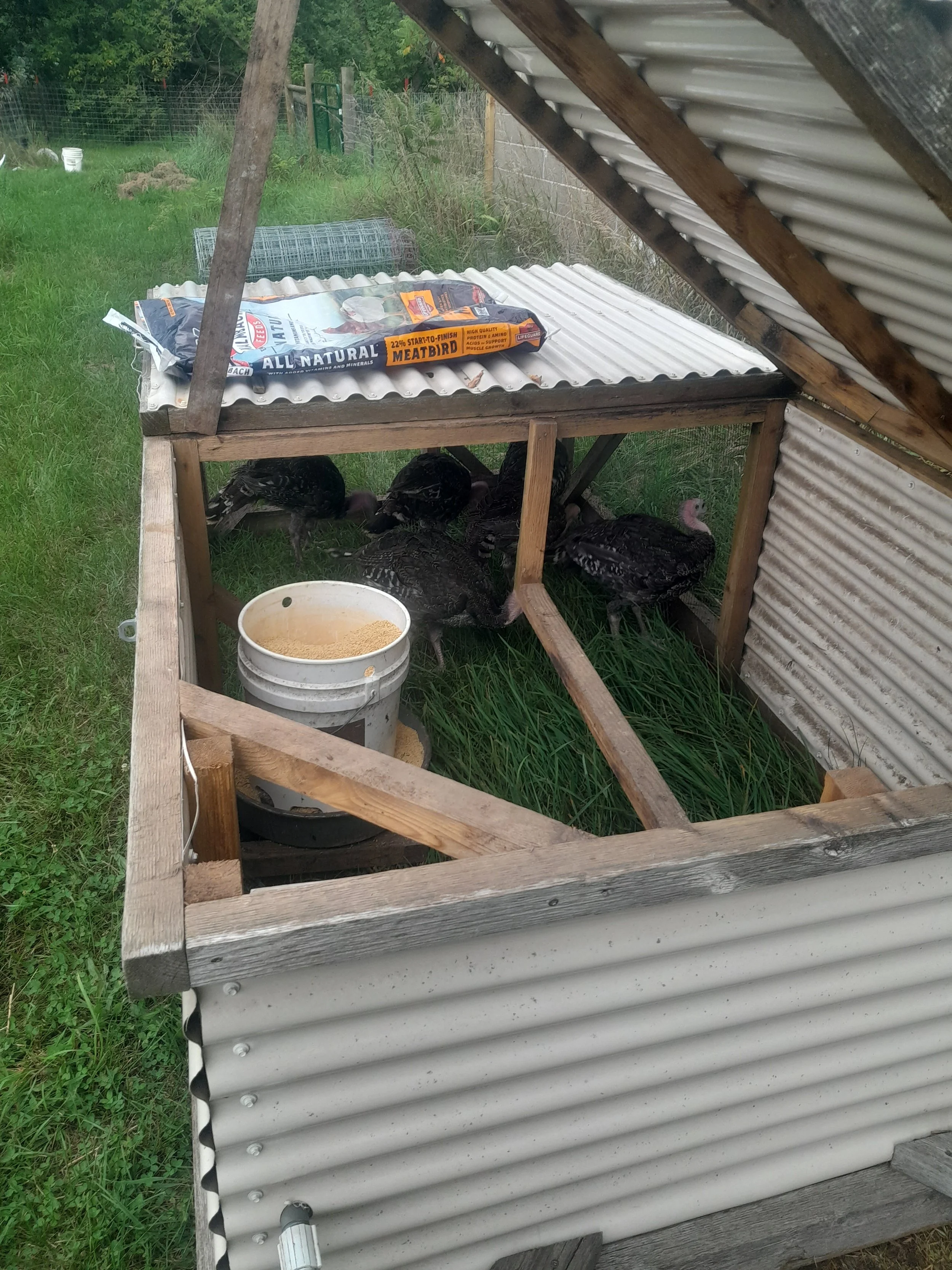 20230814_160234.jpg