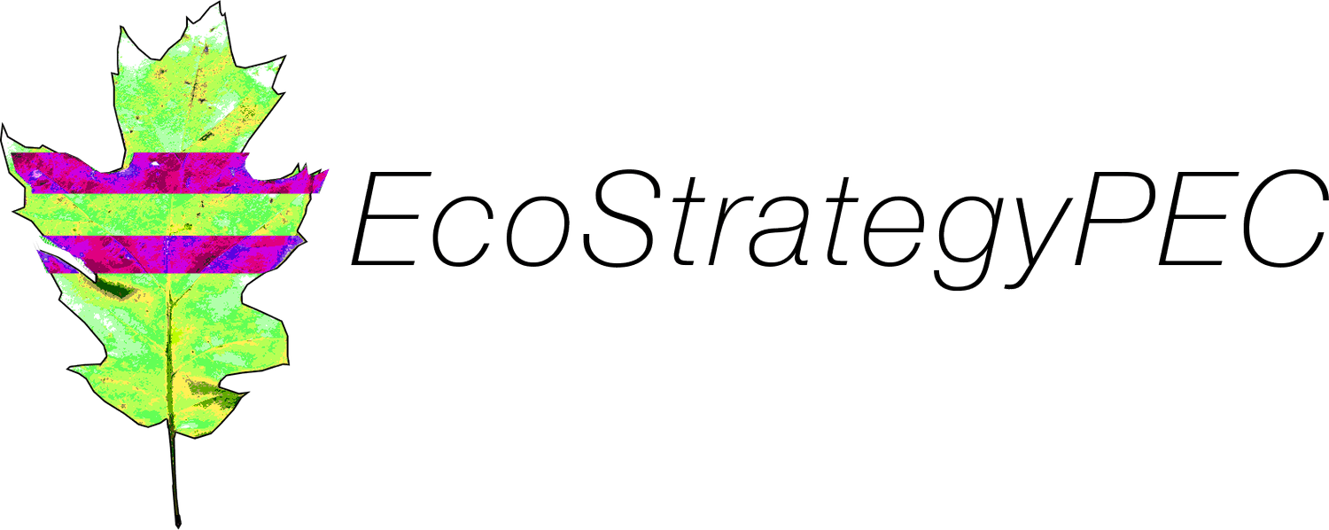 EcoStrategyPEC