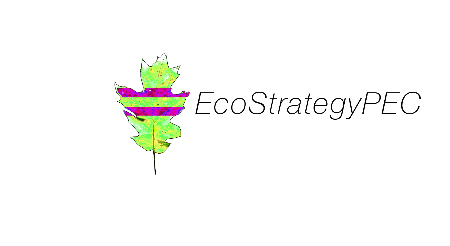 EcoStrategyPEC