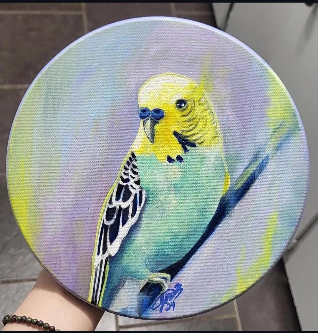 Budgie
8" Oil on Canvas
2024