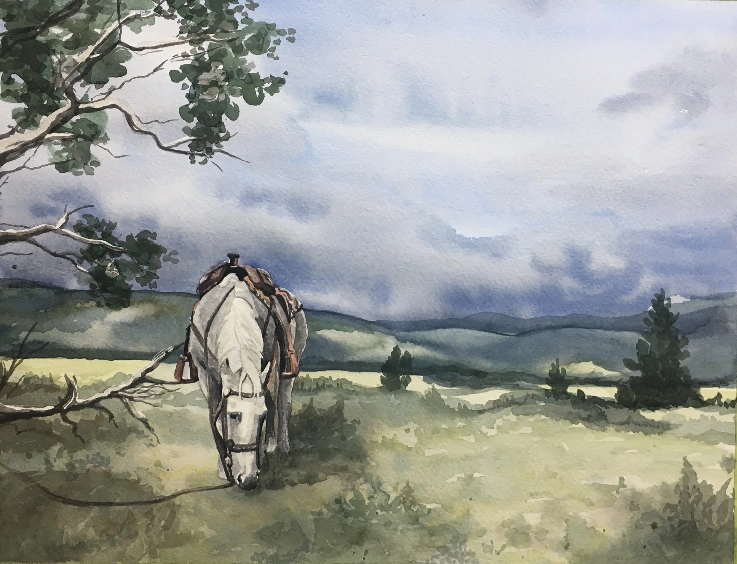 Joe
11 x 14 Watercolour
2023 