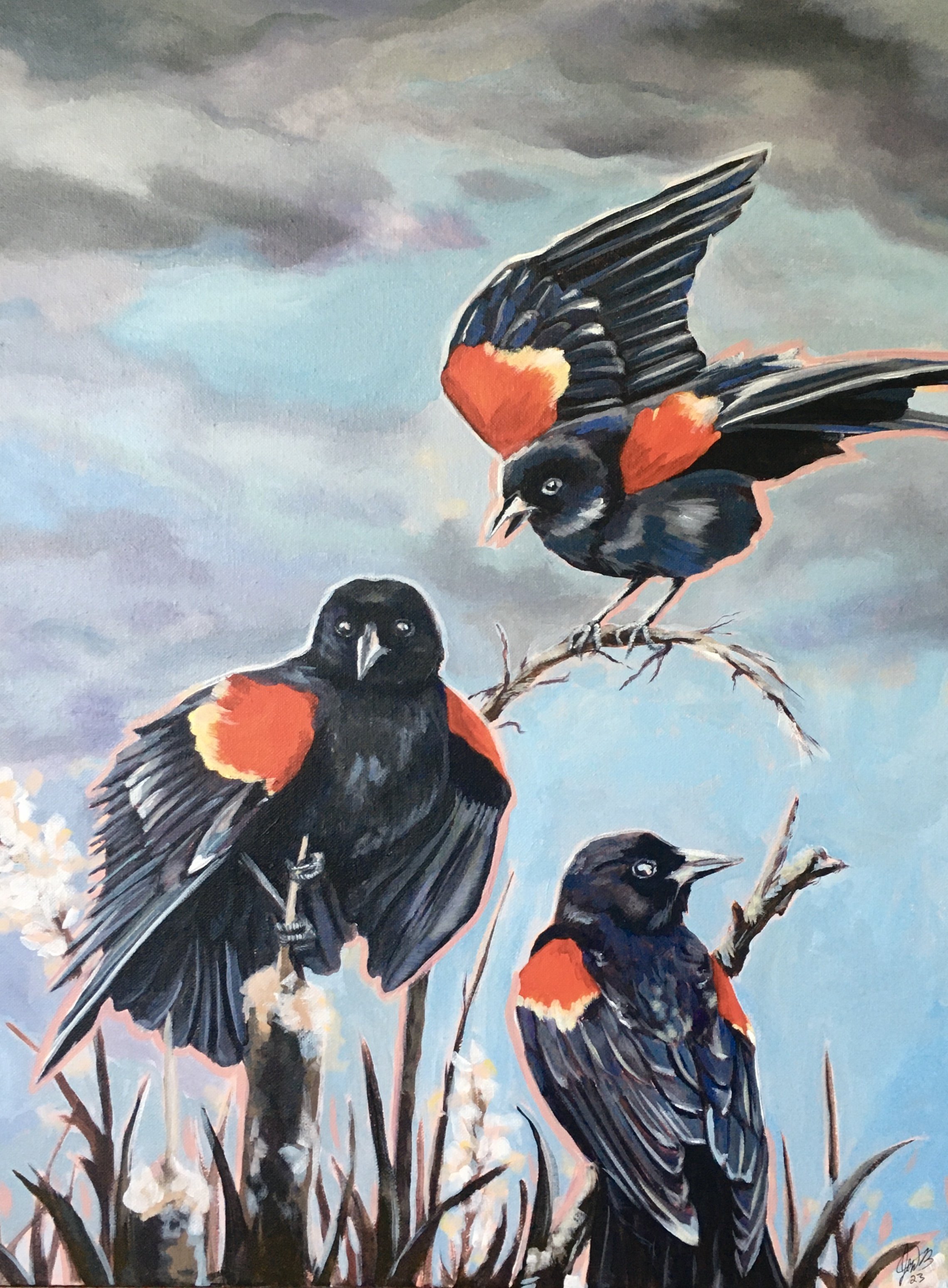 Red Winged Black Birds
18 x 24 Acrylic on Canvas
2023
NFS