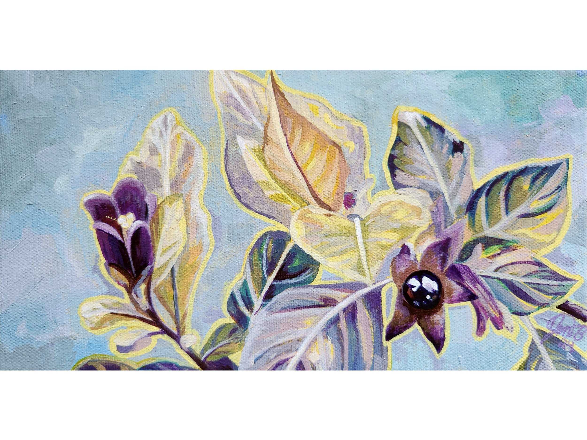 Belladonna
5 x 10 Acrylic on Canvas
2024