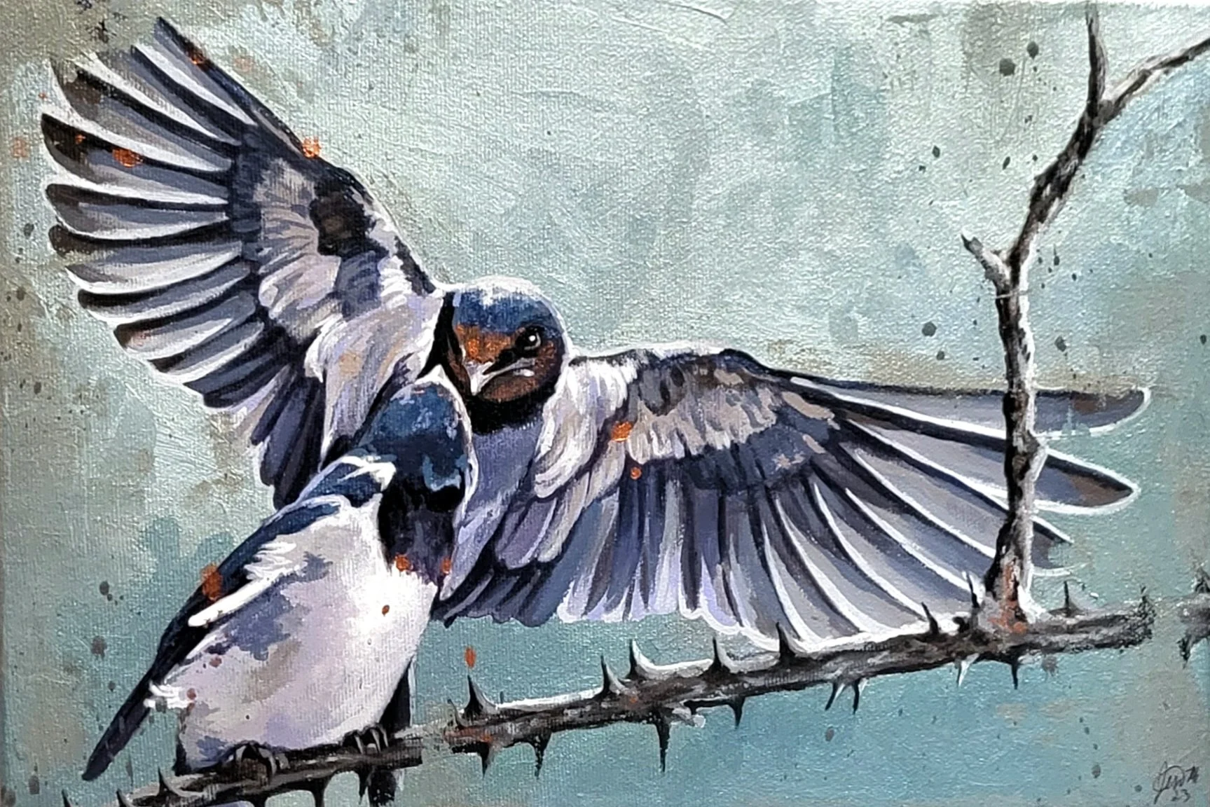 Barn Swallow III
8 x 12 Acrylic on Canvas
2023
Sold