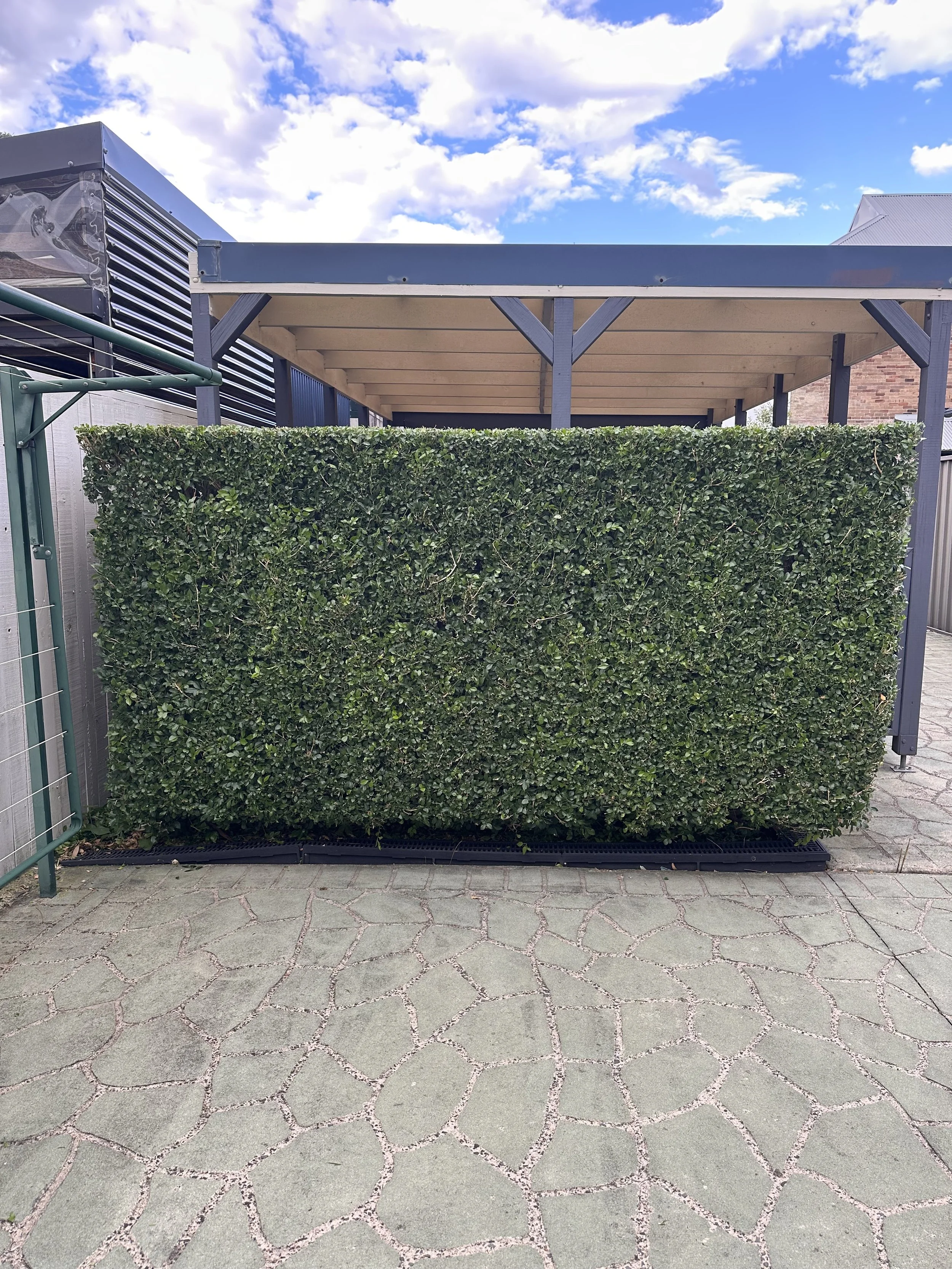 A view of a small outdoor structure with a roof and a hedge wall in front of it, situated on a stone-paved ground under a partly cloudy sky.