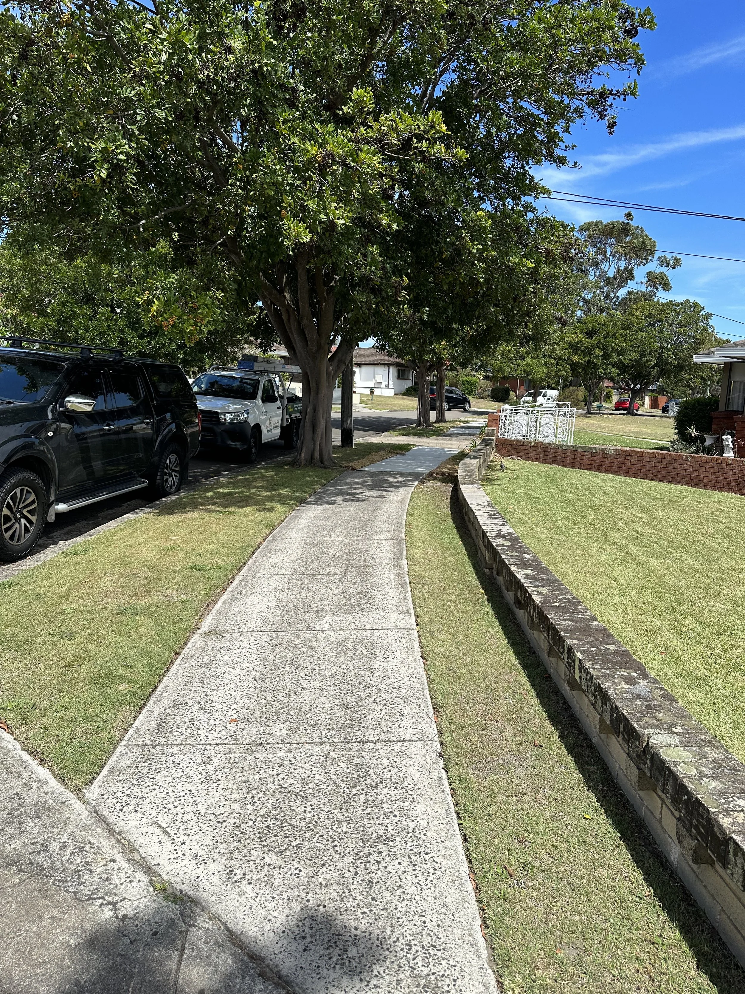 A residential neighborhood sidewalk with a large tree, parked cars on the street, a neatly maintained lawn, and houses in the background. Clear blue sky with a few clouds.