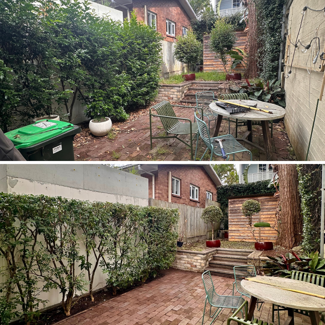Before and after garden maintenance by Eastside Gardens, including hedge trimming, courtyard clean-up and patio weeding for a residential garden in Paddington, Sydney's Eastern Suburbs.