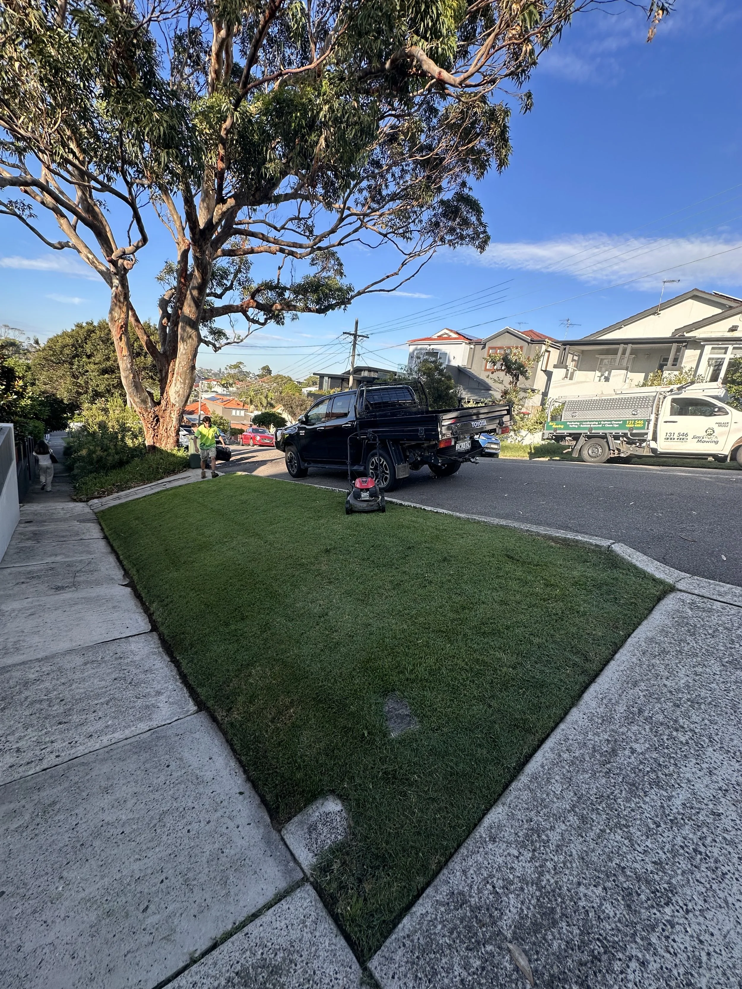 A suburban street with a grassy lawn, sidewalk, and a large tree. A black pickup truck is parked on the street, and a worker in a yellow vest is nearby. There are houses and utility poles in the background, under a blue sky with some clouds.