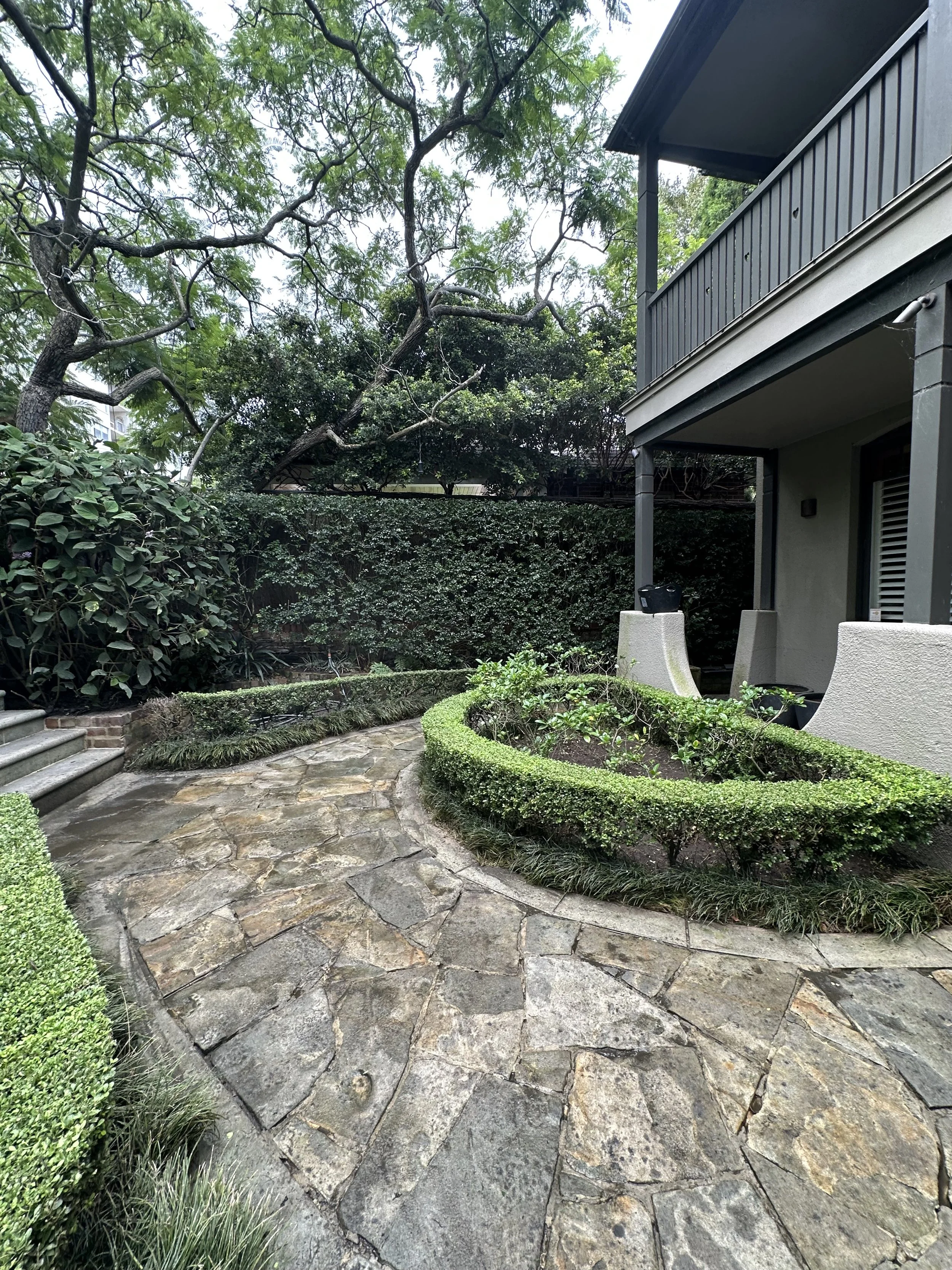 Premium garden maintenance in Vaucluse by Eastside Gardens, featuring neatly trimmed hedges, shaped garden beds and a clean residential stone courtyard.