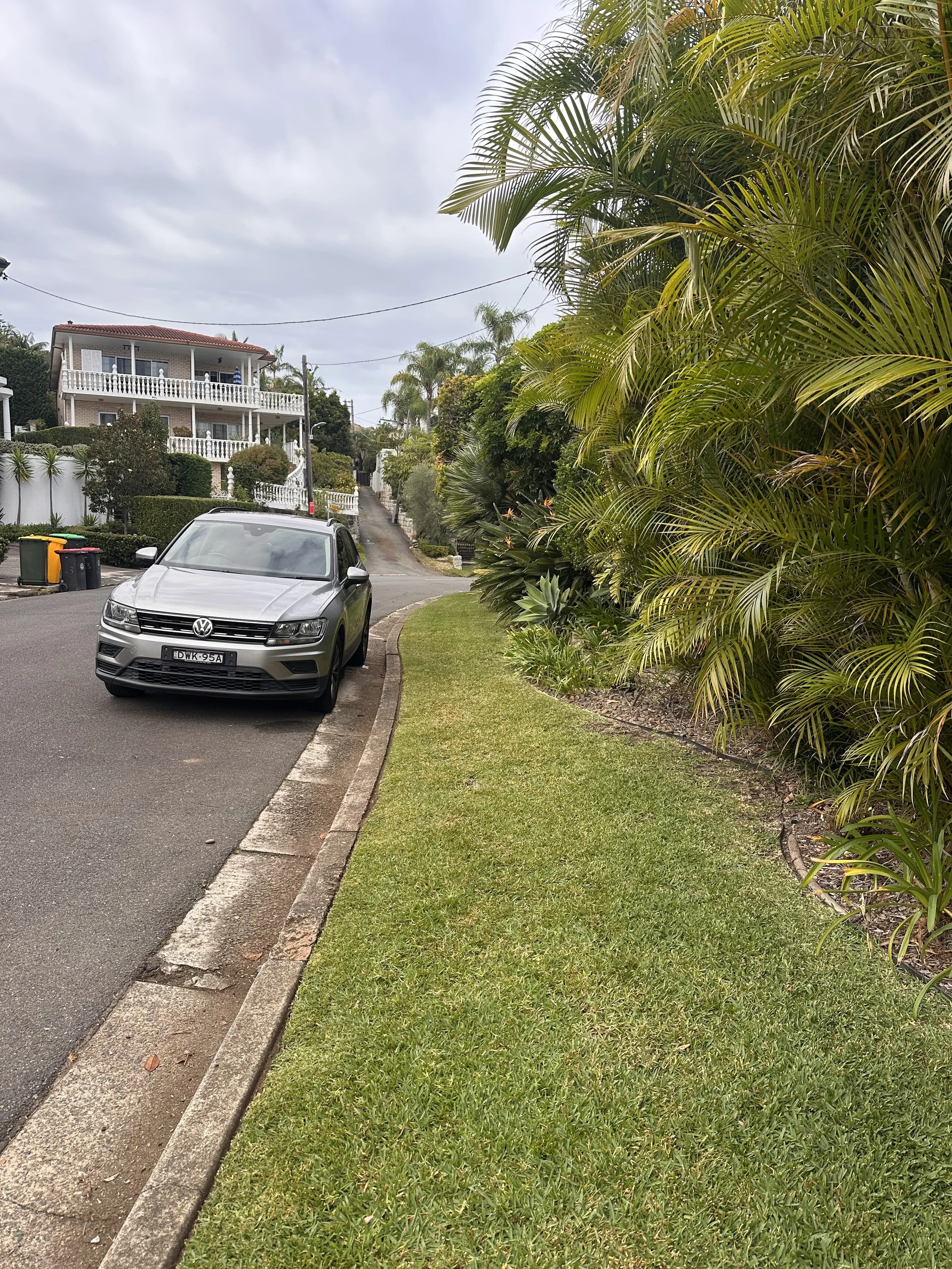 A suburban street scene with a Volkswagen car parked on the street, lush green grass, and tropical plants on the right side, with a two-story house with a white balcony in the background under a cloudy sky.