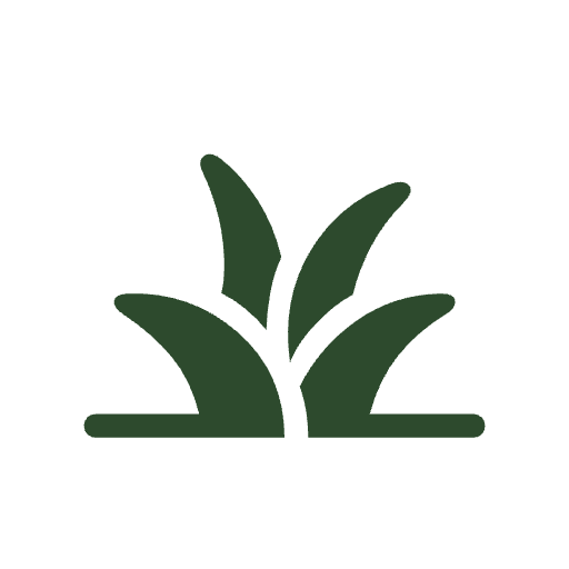 Simple illustration of green grass blades growing from the ground.
