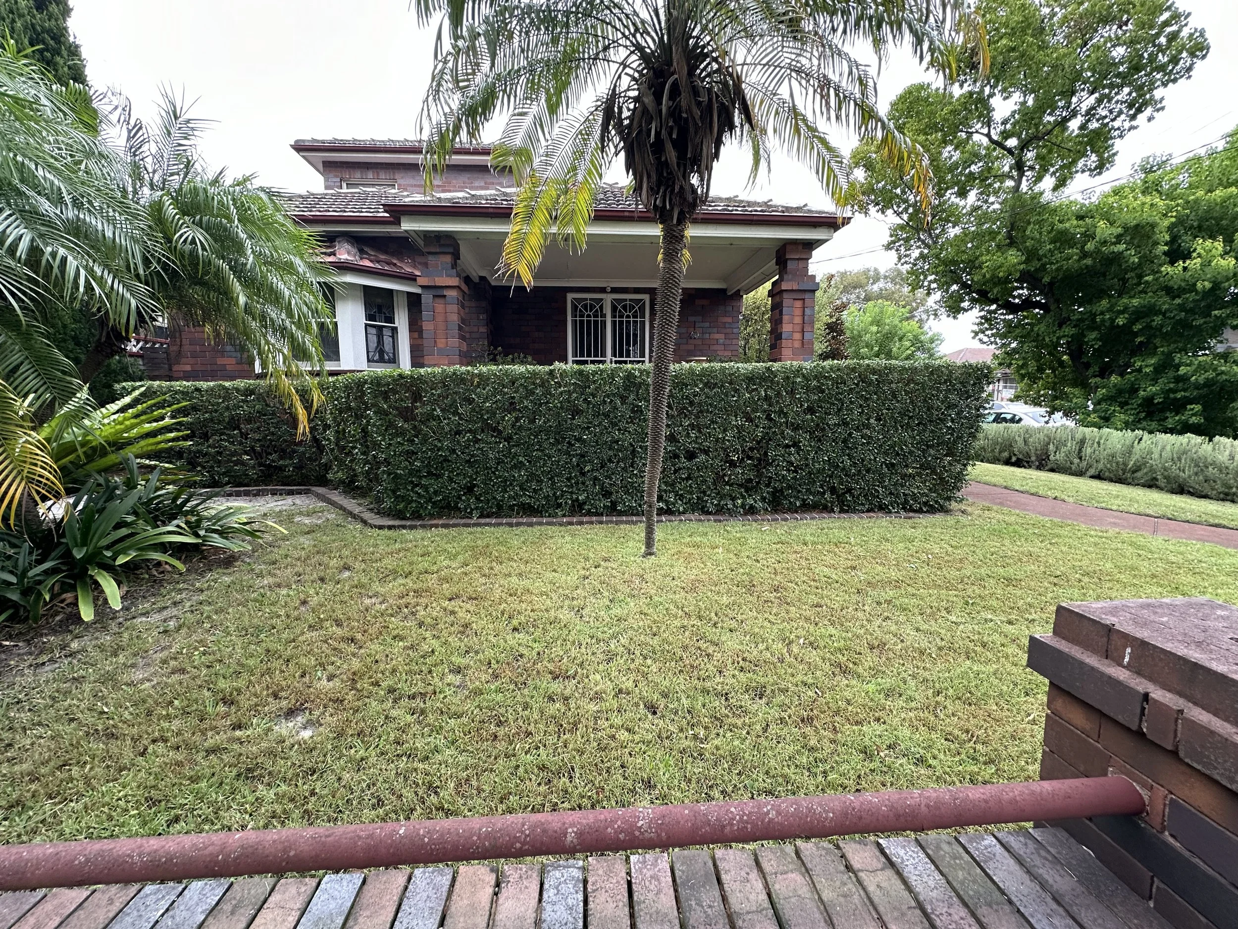 Front yard with neatly trimmed green hedge, two palm trees, a brick house with a front porch, and a brick walkway. There is a wooden park bench in the foreground and a brick wall on the right.