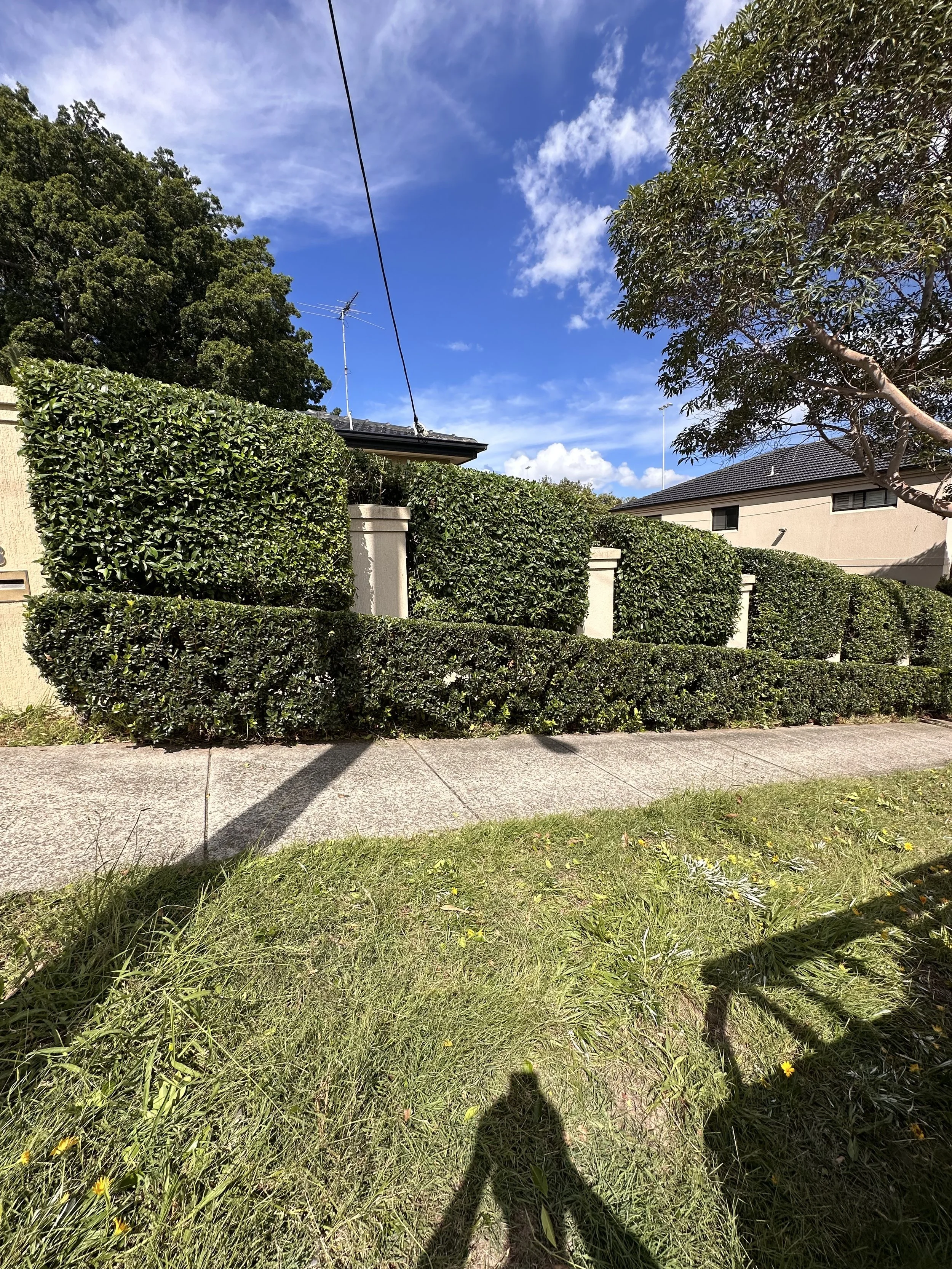 A suburban yard with trimmed green bushes, a sidewalk, a house with a tiled roof, trees, power lines, and a partly cloudy blue sky.
