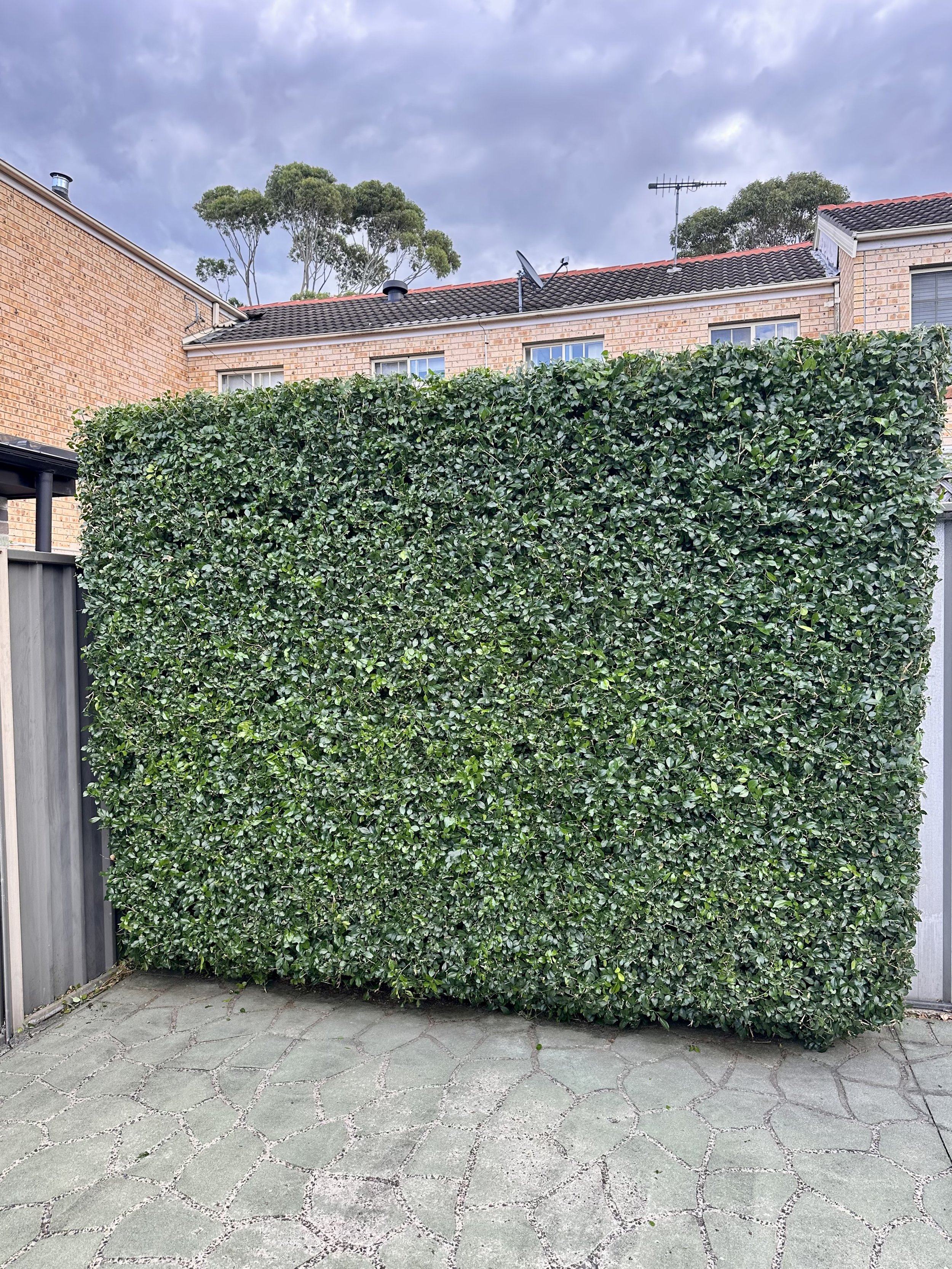 A large green hedge in front of a brick house with windows, a satellite dish, and an antenna on the roof. The ground is paved with hexagonal stones, and the sky is cloudy.
