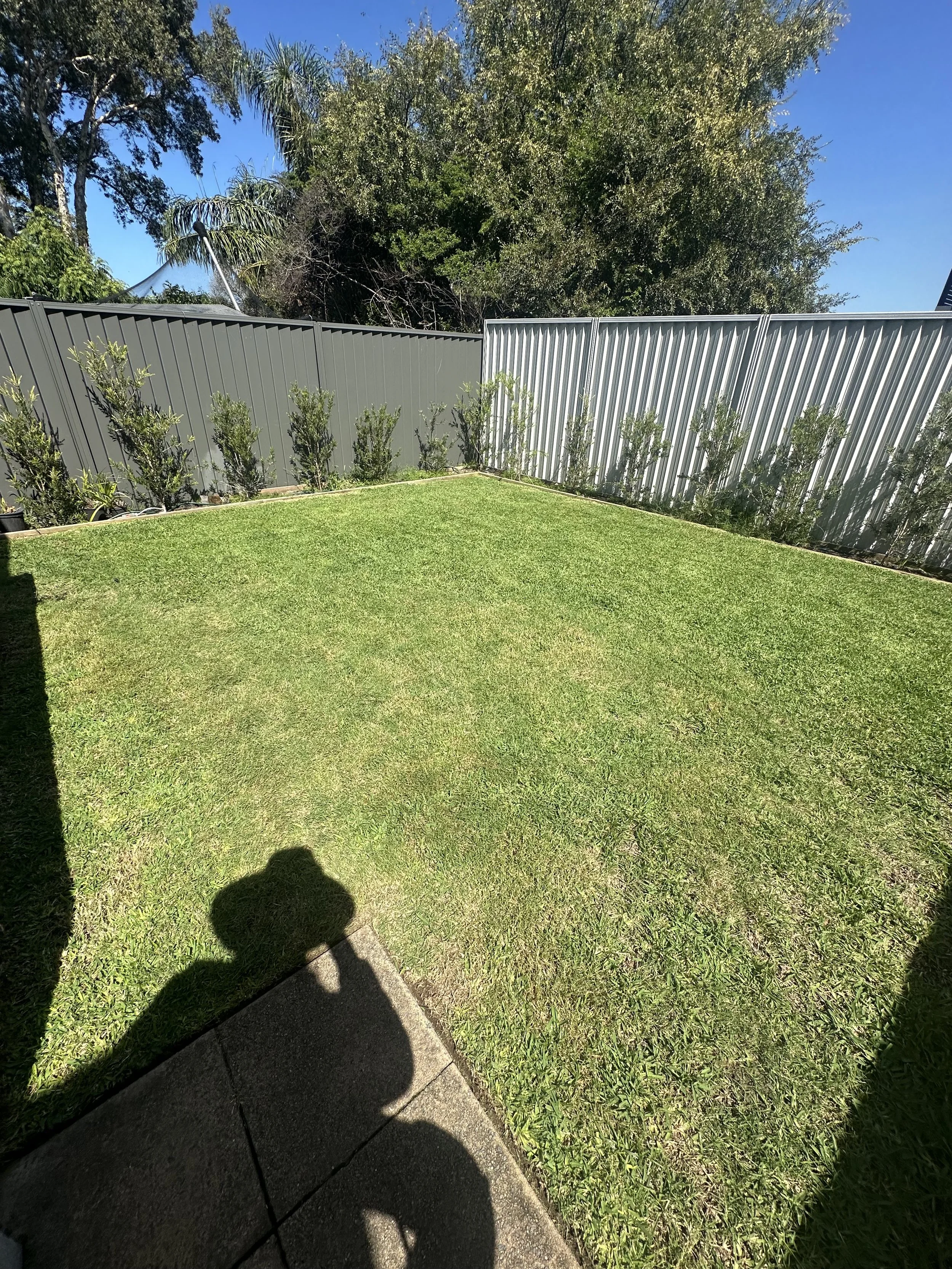 Professional lawn mowing and garden maintenance in Bondi by Eastside Gardens, featuring a freshly cut backyard lawn, tidy edges and maintained garden beds.
