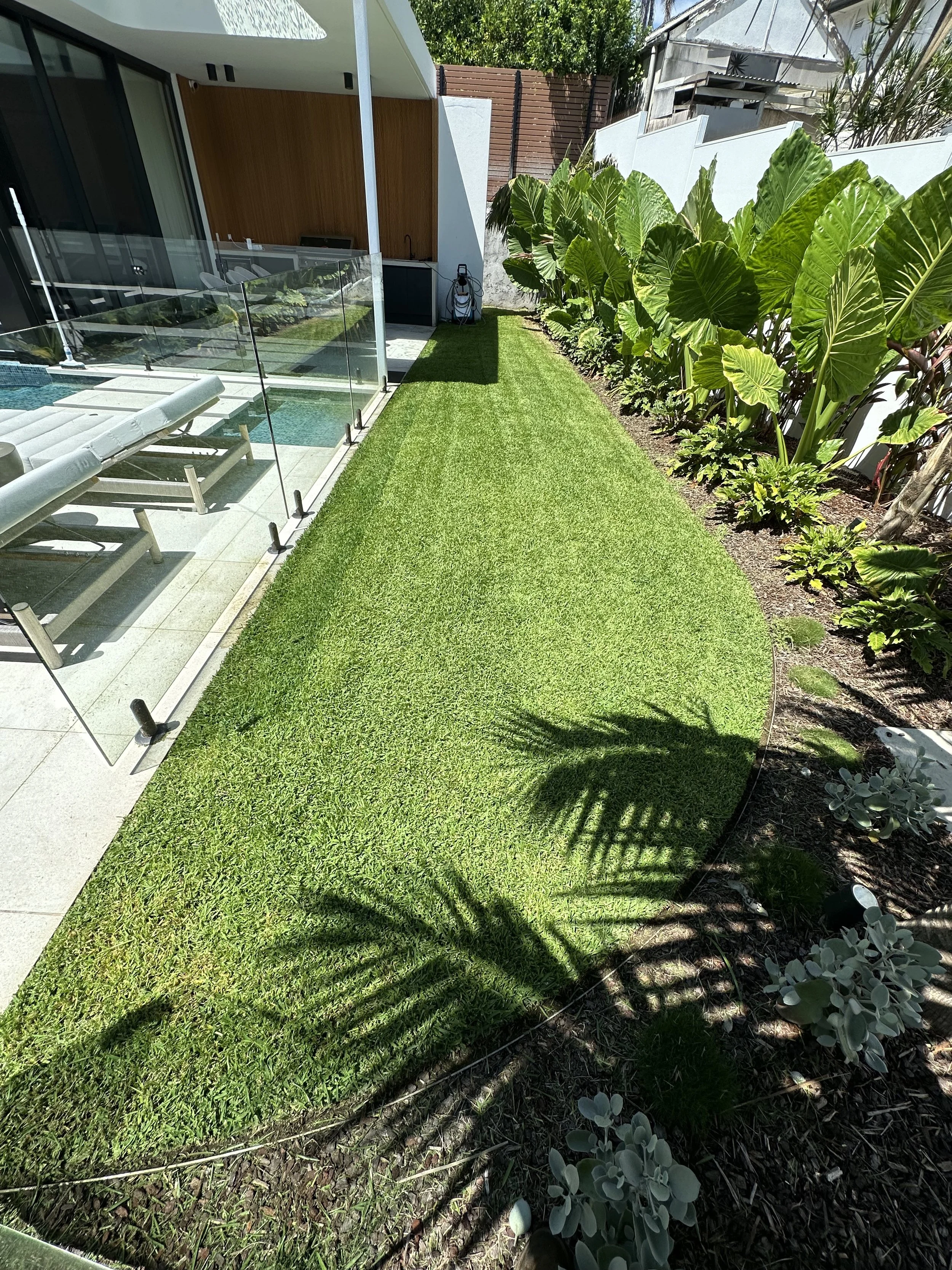 A backyard with a green lawn, a garden bed with lush large leaves and greenery on the right, a glass fence with poolside lounge chairs on the left, a wooden privacy fence, and adjacent modern house with a wooden accent wall and outdoor area.