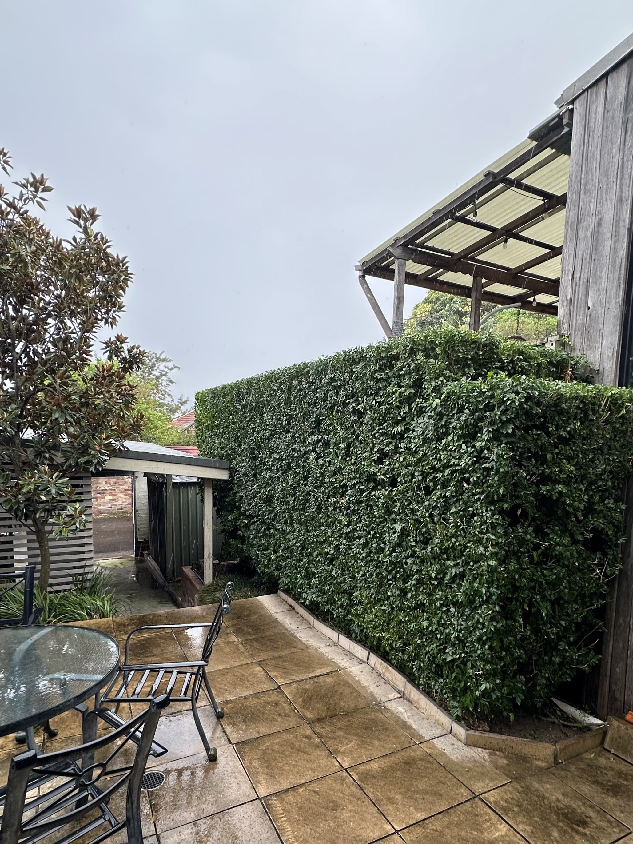 Wet outdoor patio with a glass table and chairs, tall green hedge, and a wooden structure with a metal roof on a rainy day.