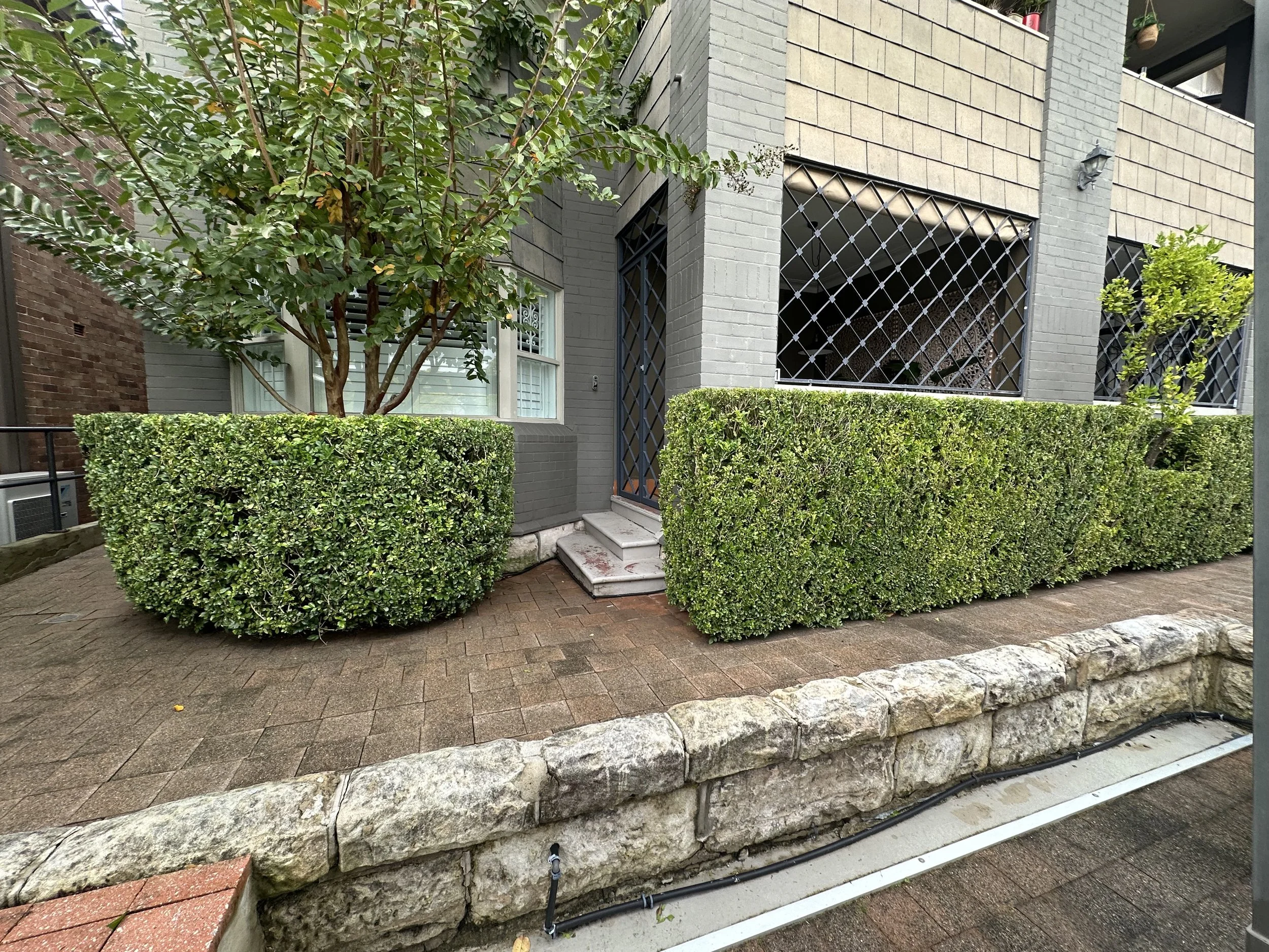 The image shows a landscaped outdoor area with a small tree surrounded by trimmed hedges, a stone border, and a brick and gray building with windows and a door.