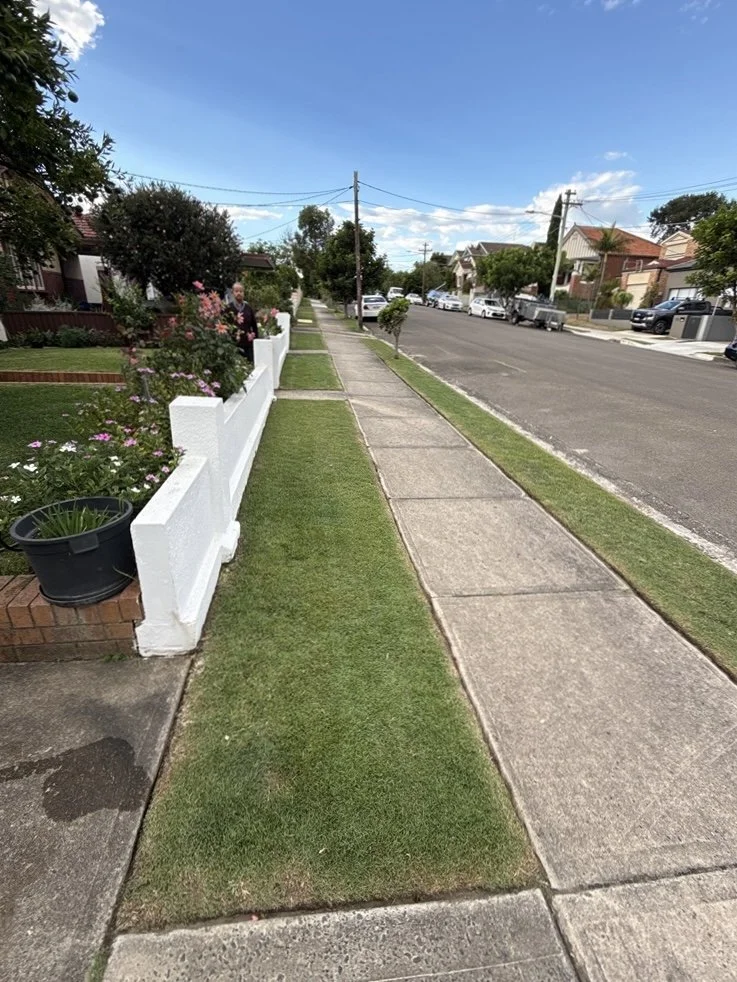 A sidewalk with a well-maintained lawn and garden on the left, a street with parked cars on the right, and a person in the background near the garden under a blue sky with few clouds.