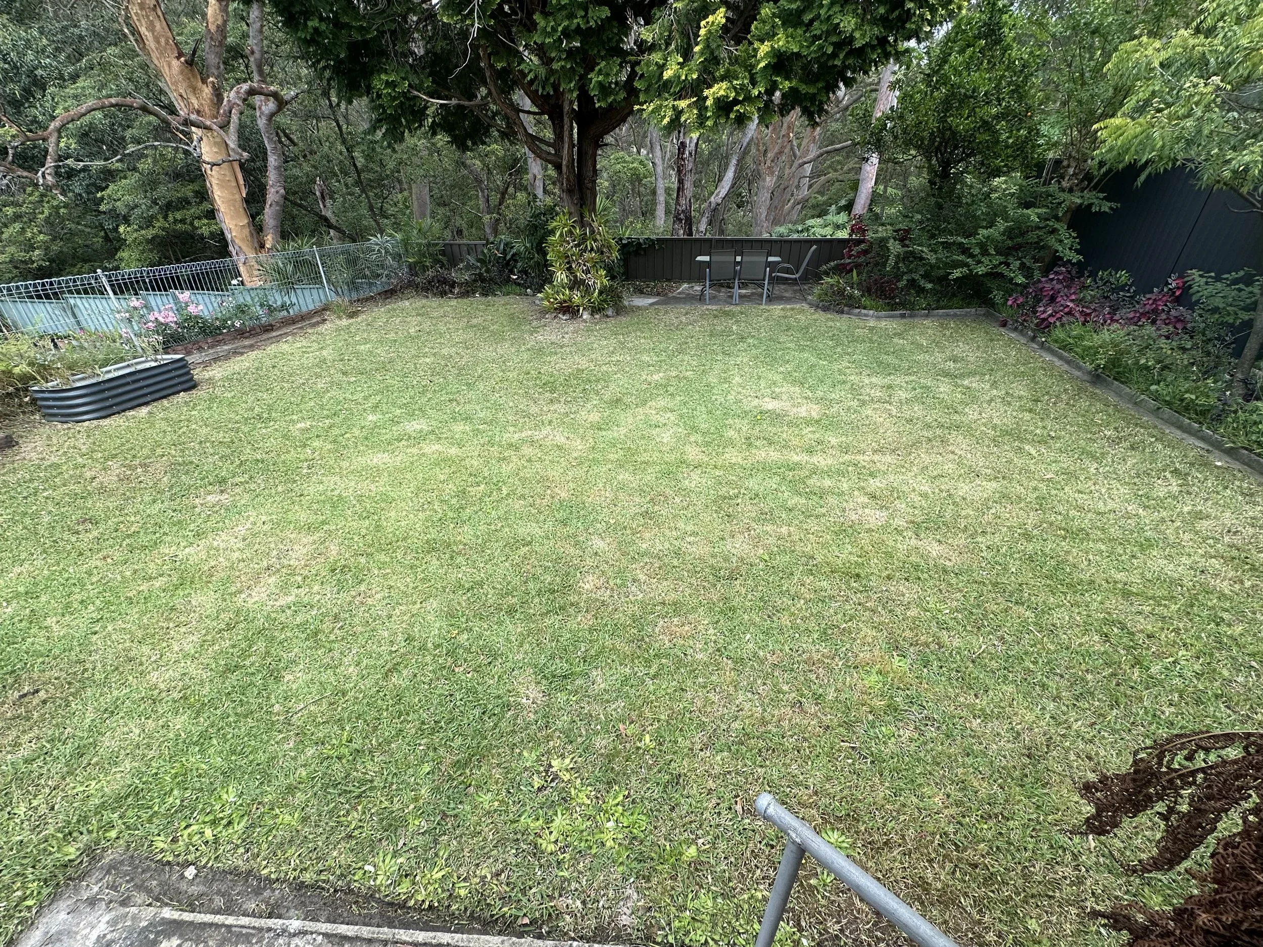 A backyard with a grassy lawn, surrounded by trees and bushes, a black fence, and outdoor patio furniture.