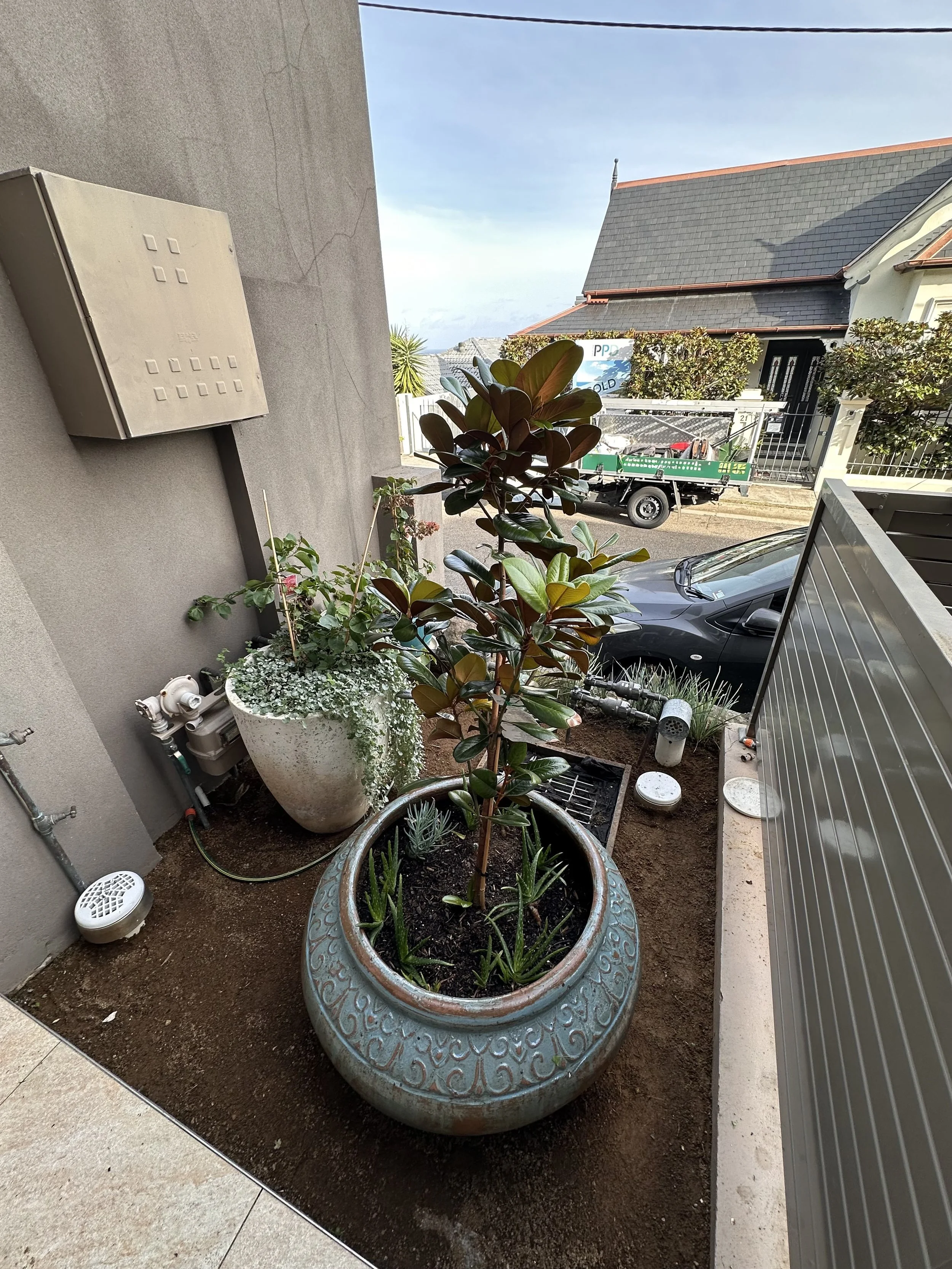 A small outdoor garden area with a large decorative ceramic pot containing a tall plant and smaller plants at the base. There are other potted plants nearby, along with some garden equipment and a parked vehicle. The background shows a street with houses, some trees, and a clear sky.