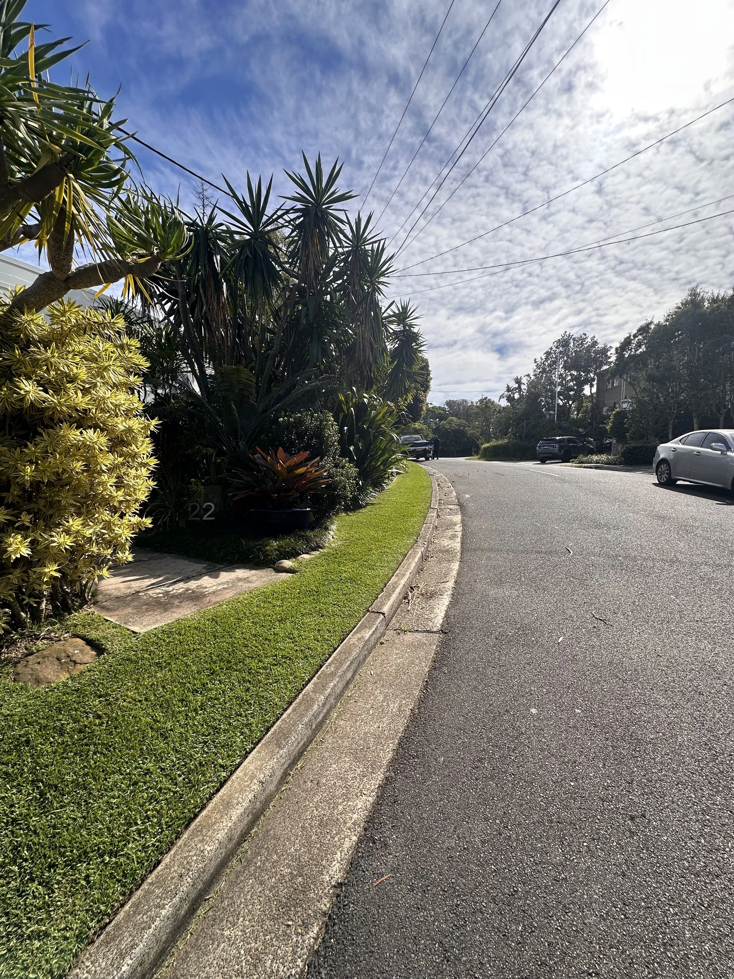 Residential street with a sidewalk and green grass on the side, various plants and bushes, parked cars, and an partly cloudy sky with some power lines overhead.