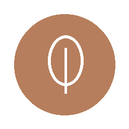 A close-up of a circular, brown object with a white, uppercase Greek letter phi (Φ) in the center.
