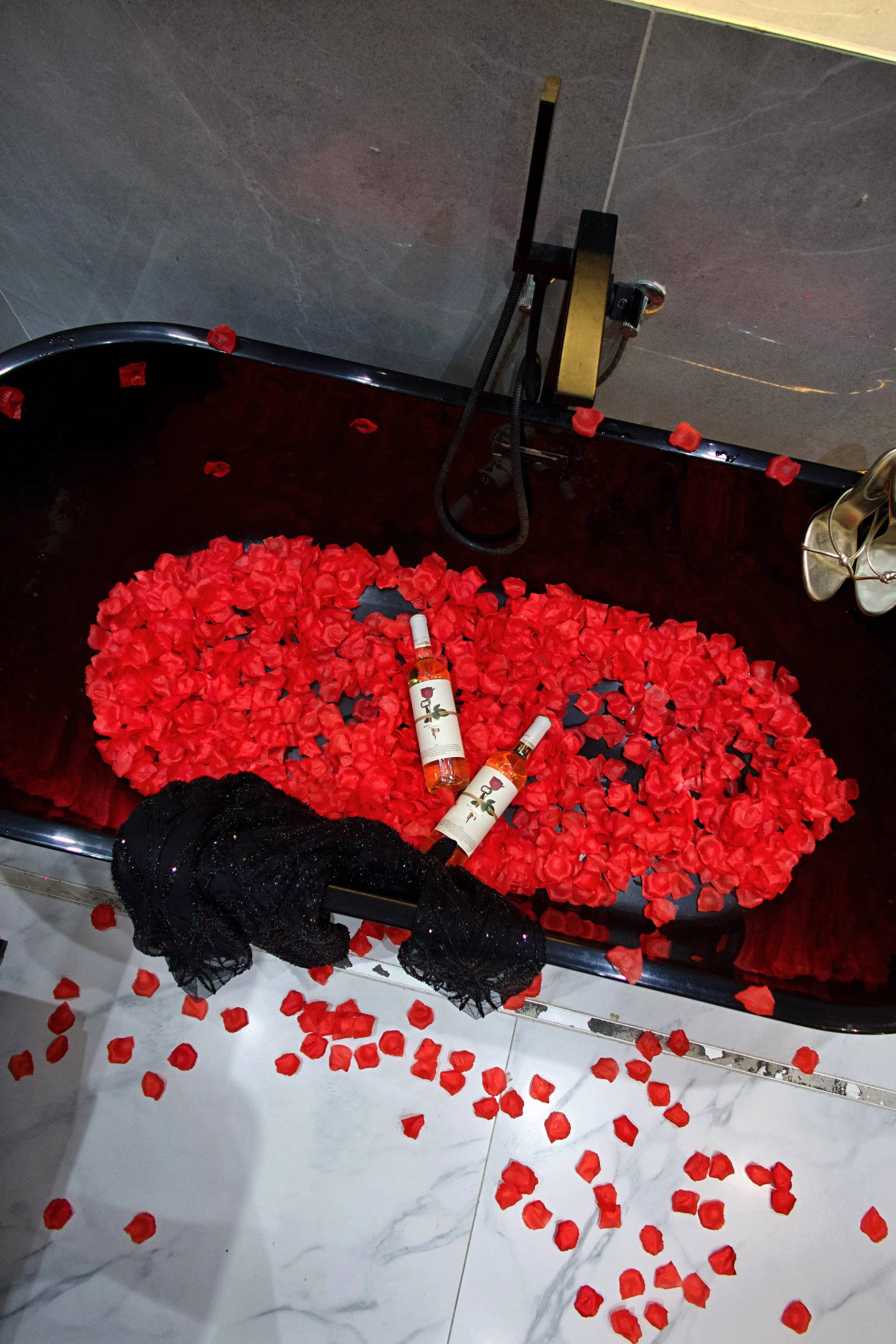 Why I Started AIka and Co.- 