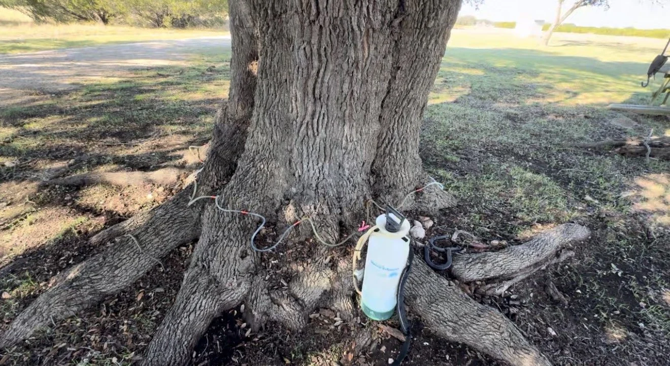 Macro Infusion (Oak Wilt Priority)