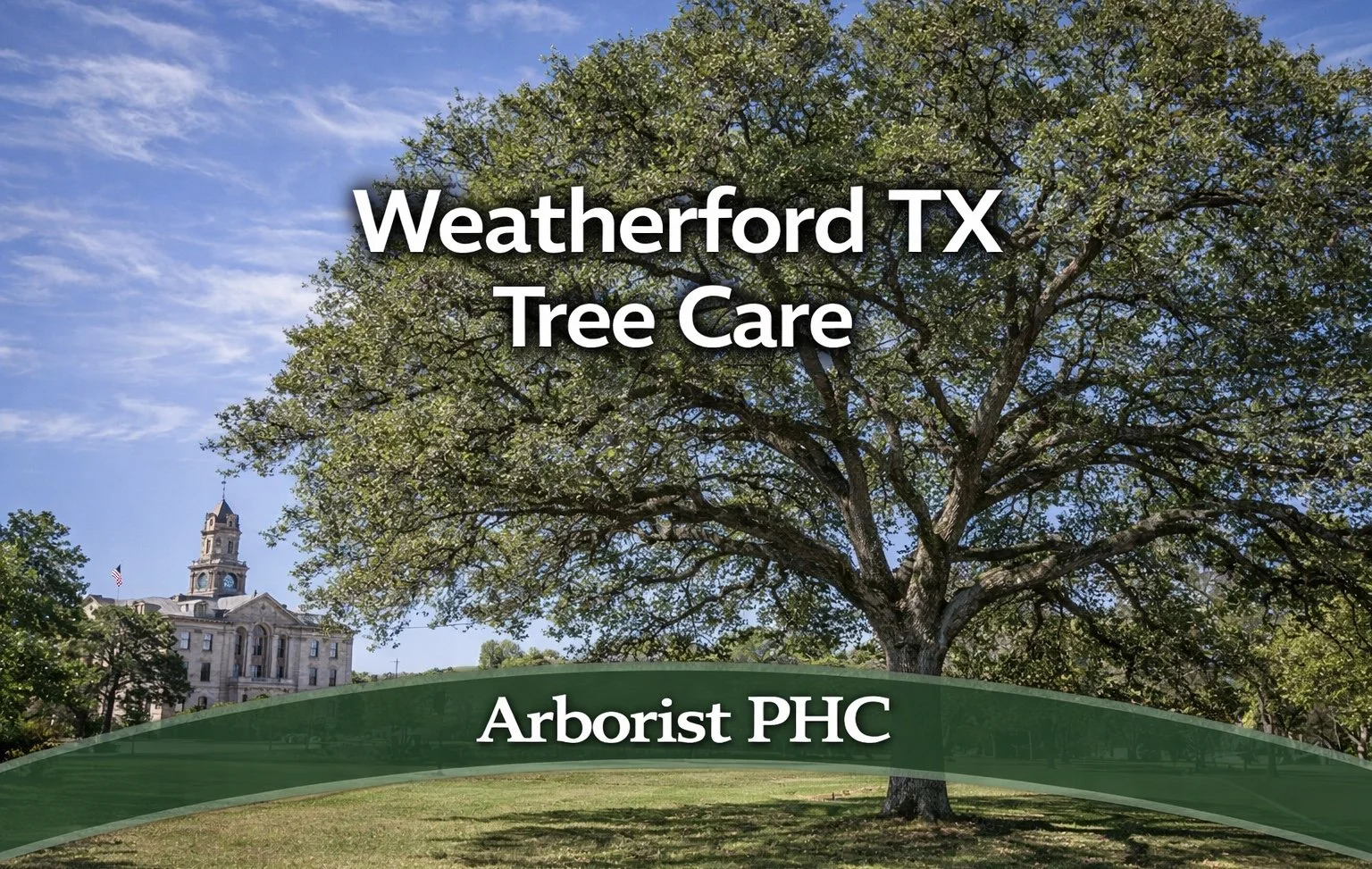 Tree Care Services in Weatherford TX | ISA Certified Arborist