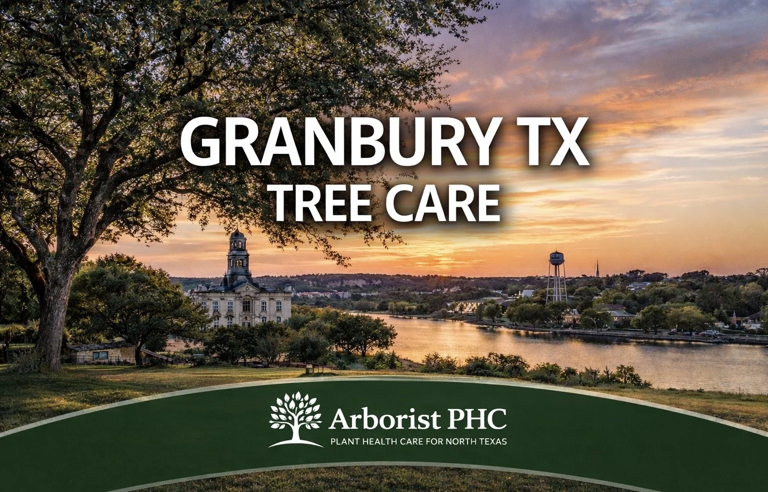 Tree Care &amp; Plant Health Care Services in Granbury, TX