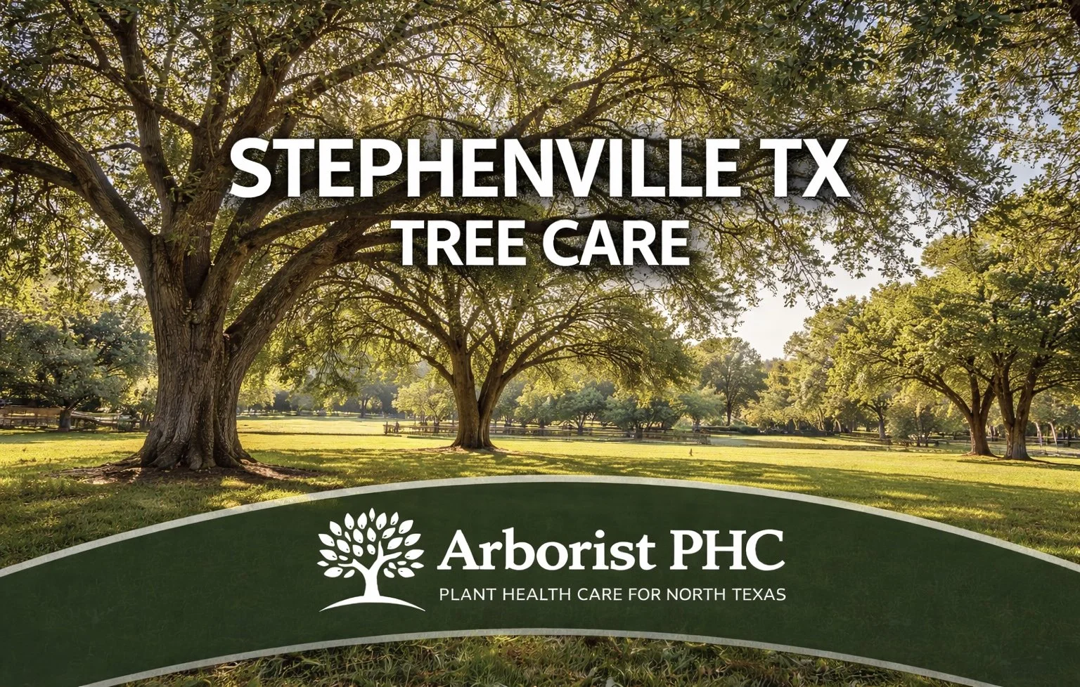 Tree Care &amp; Plant Health Care Services in Stephenville, TX