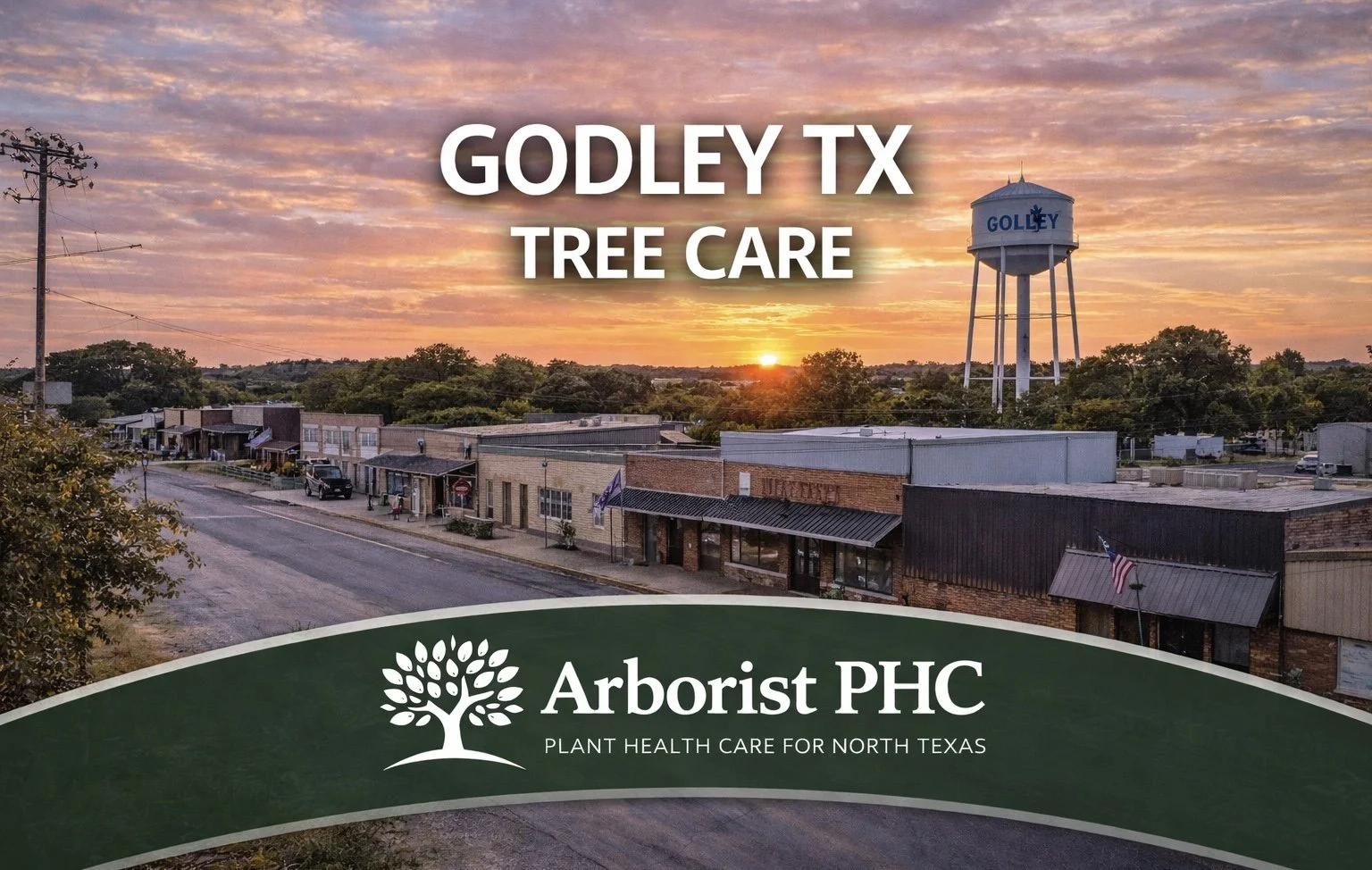 Tree Care &amp; Plant Health Care Services in Godley, TX