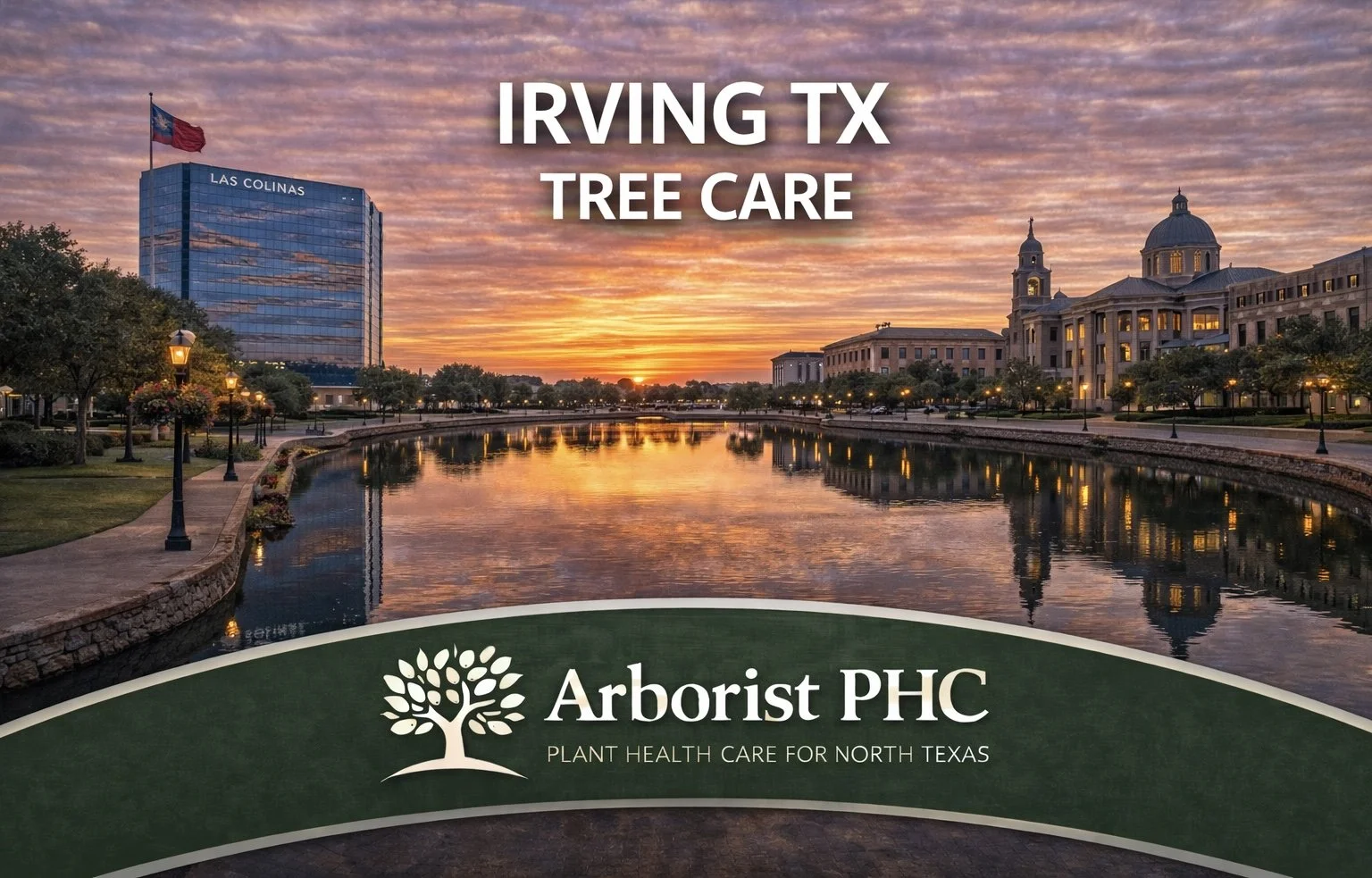 Tree Care &amp; Plant Health Care Services in Irving, TX
