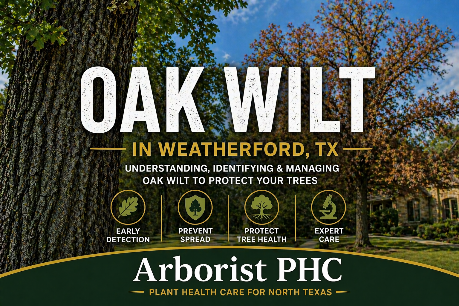 Oak Wilt Weatherford TX | Oak Tree Disease Treatment