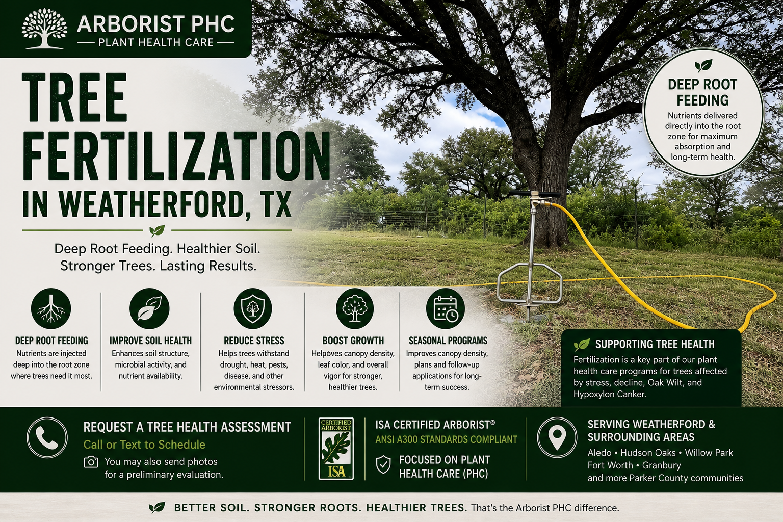 A large tree with a sprinkler system watering its roots in a grassy yard. An informational sign overlays part of the image, promoting tree fertilization and soil health services in Weatherford, TX.