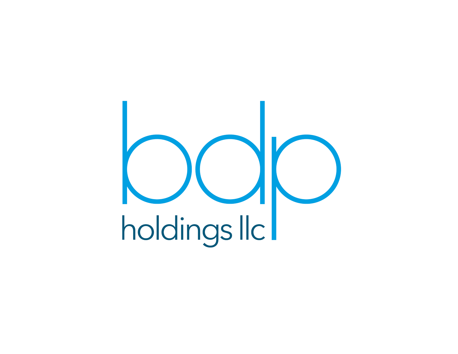 BDP Holdings