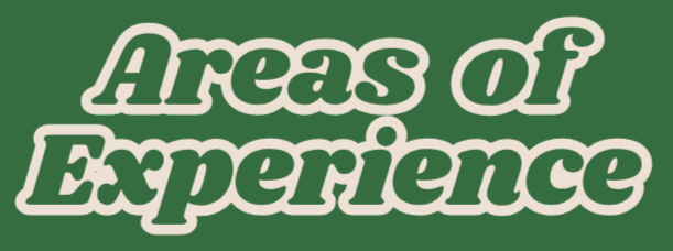 Text reading 'Areas of Experience' in bold, green font with white outline on a green background.